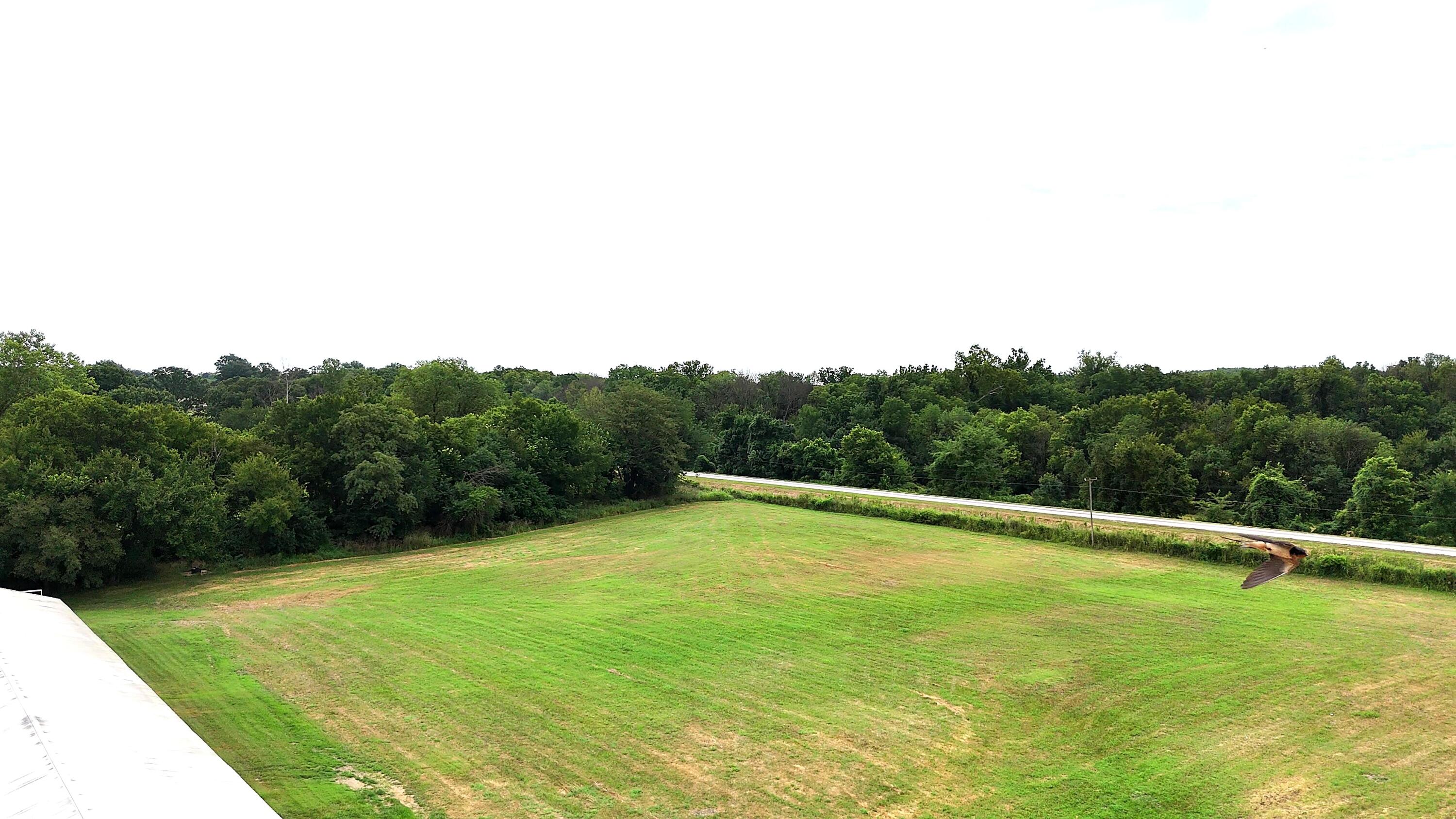 Photo 39 - Farm for sale – 11477 N Blackberry Road  Carthage, MO