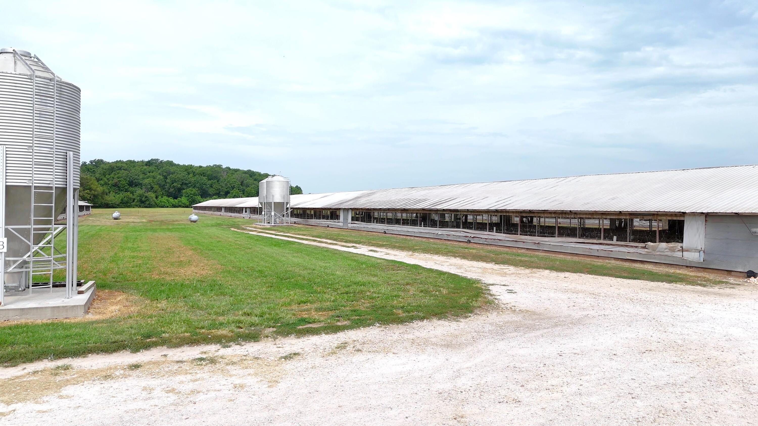Photo 23 - Farm for sale – 11477 N Blackberry Road  Carthage, MO