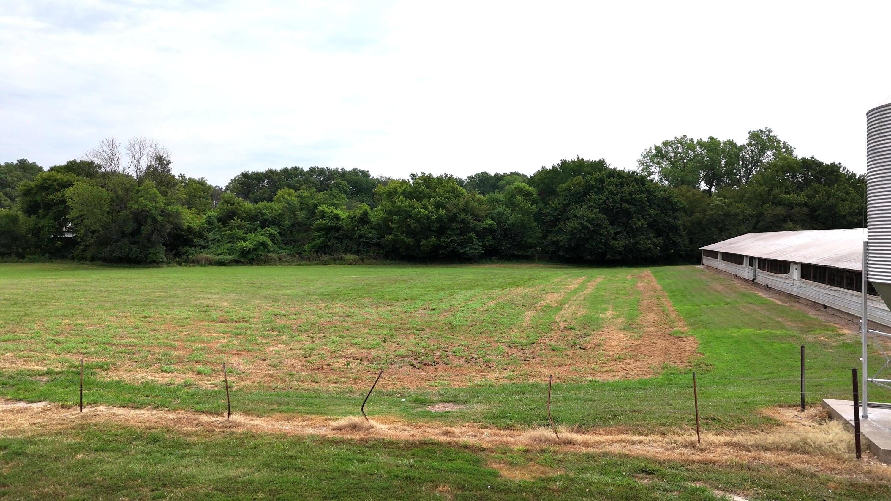 Photo 33 - Farm for sale – 11477 N Blackberry Road  Carthage, MO