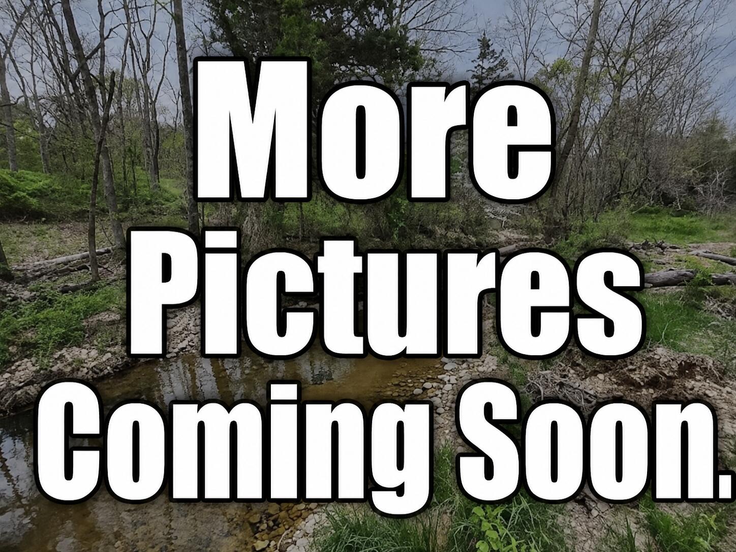 Photo 6 - Land for sale – Tbd  Gravelpoint Road   Mountain Grove, MO