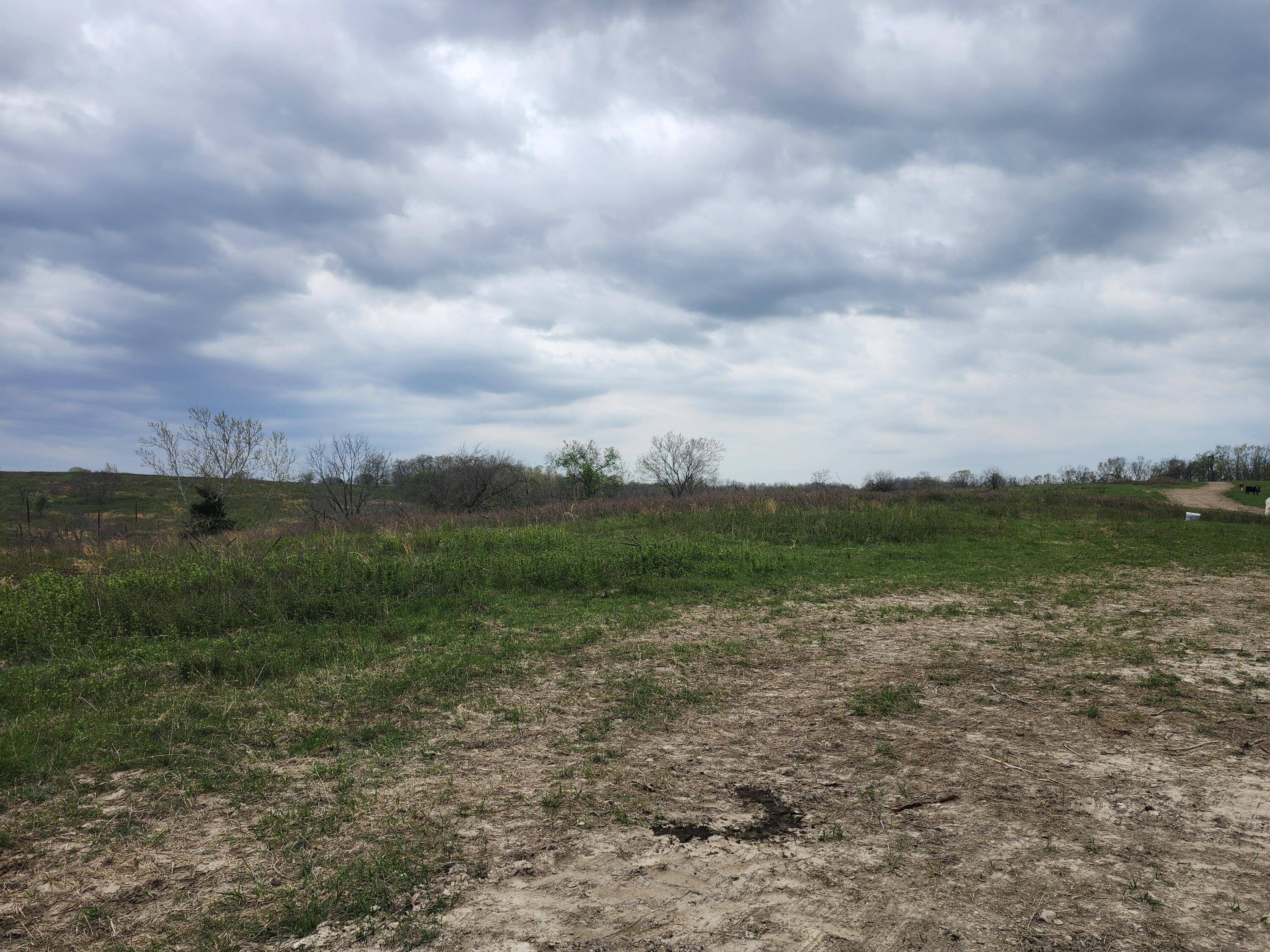 Photo 5 - Land for sale – Tbd  Gravelpoint Road   Mountain Grove, MO