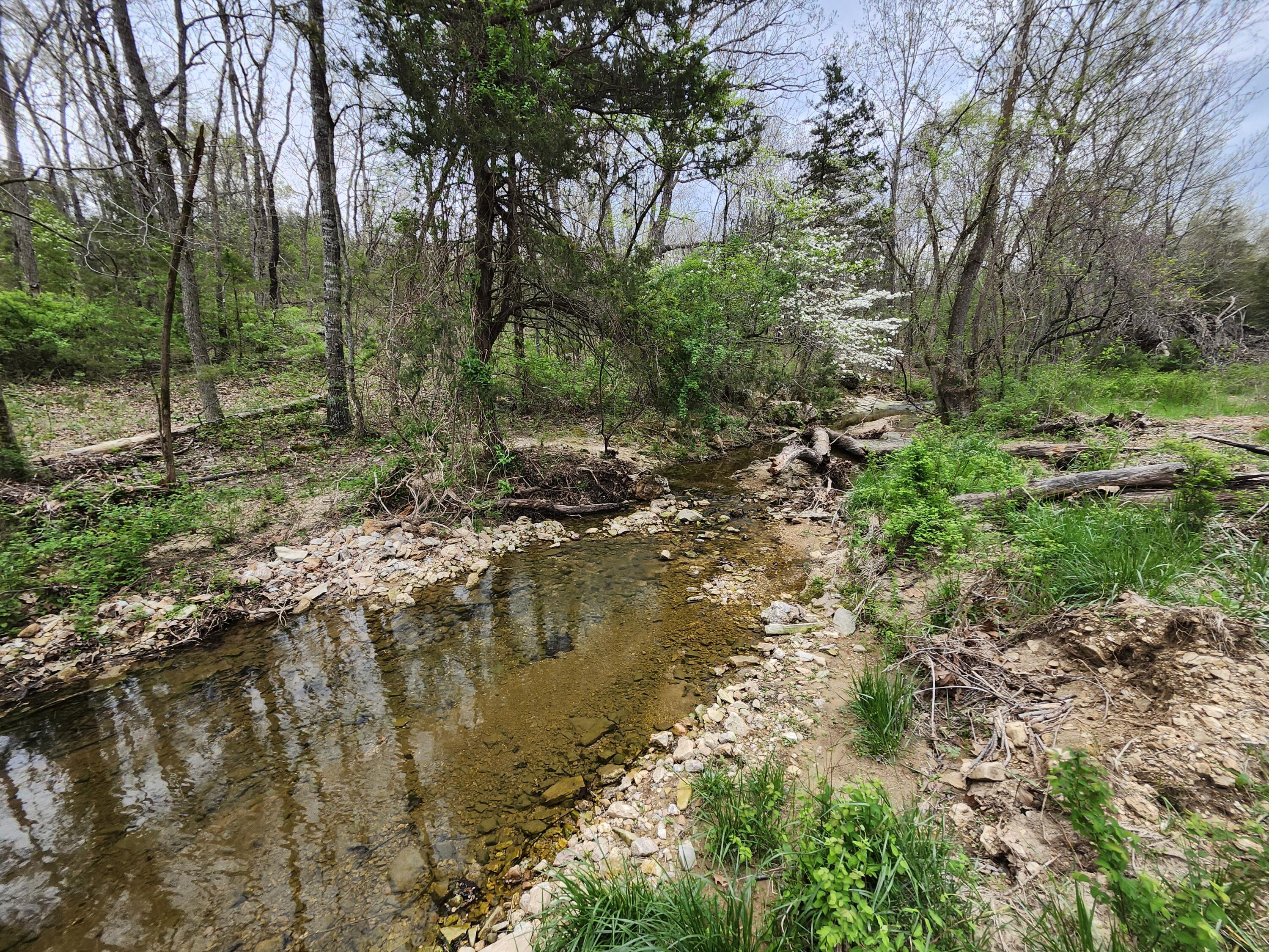 Land for sale – Tbd  Gravelpoint Road   Mountain Grove, MO