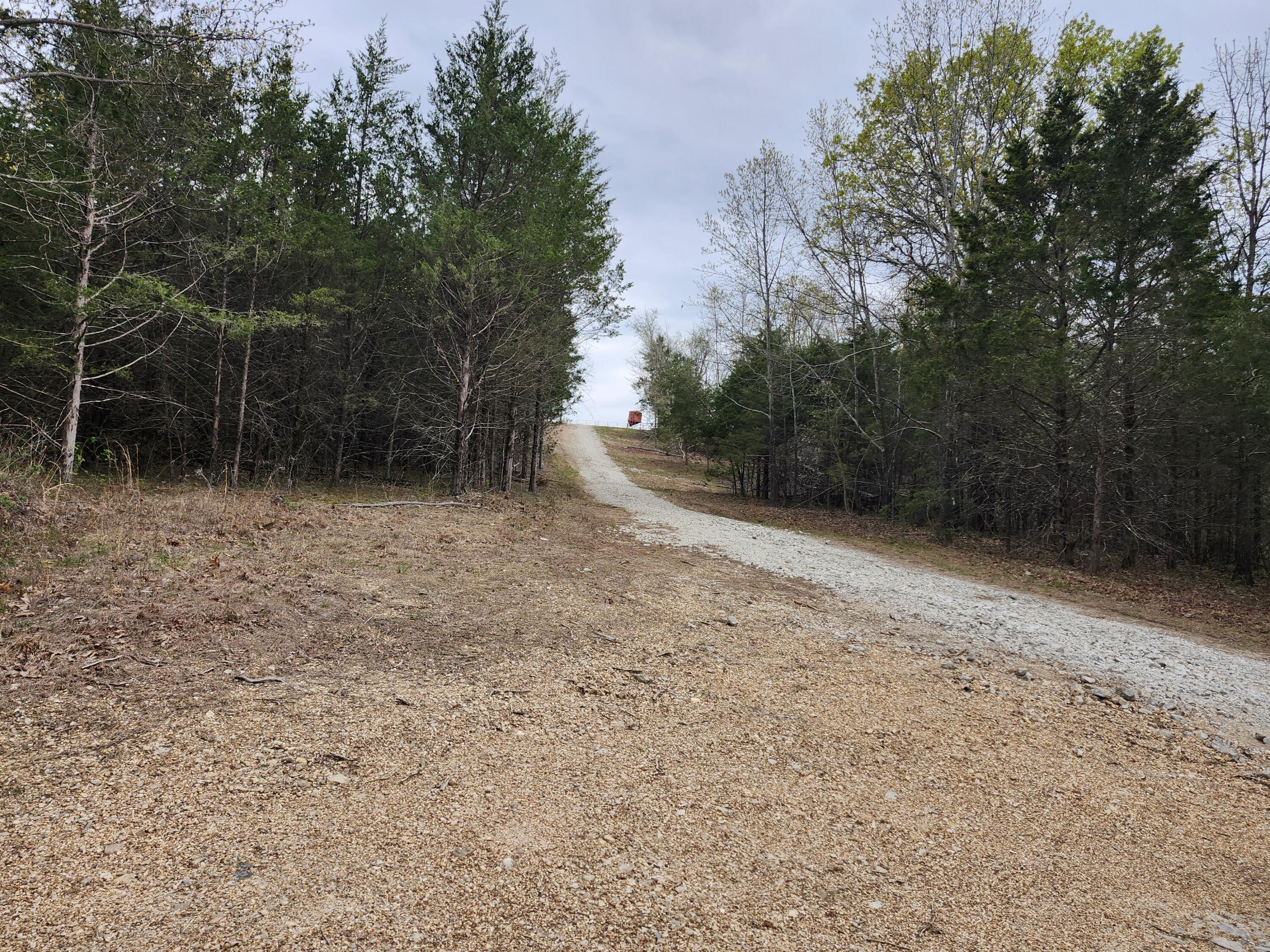 Photo 3 - Land for sale – Tbd  Gravelpoint Road   Mountain Grove, MO