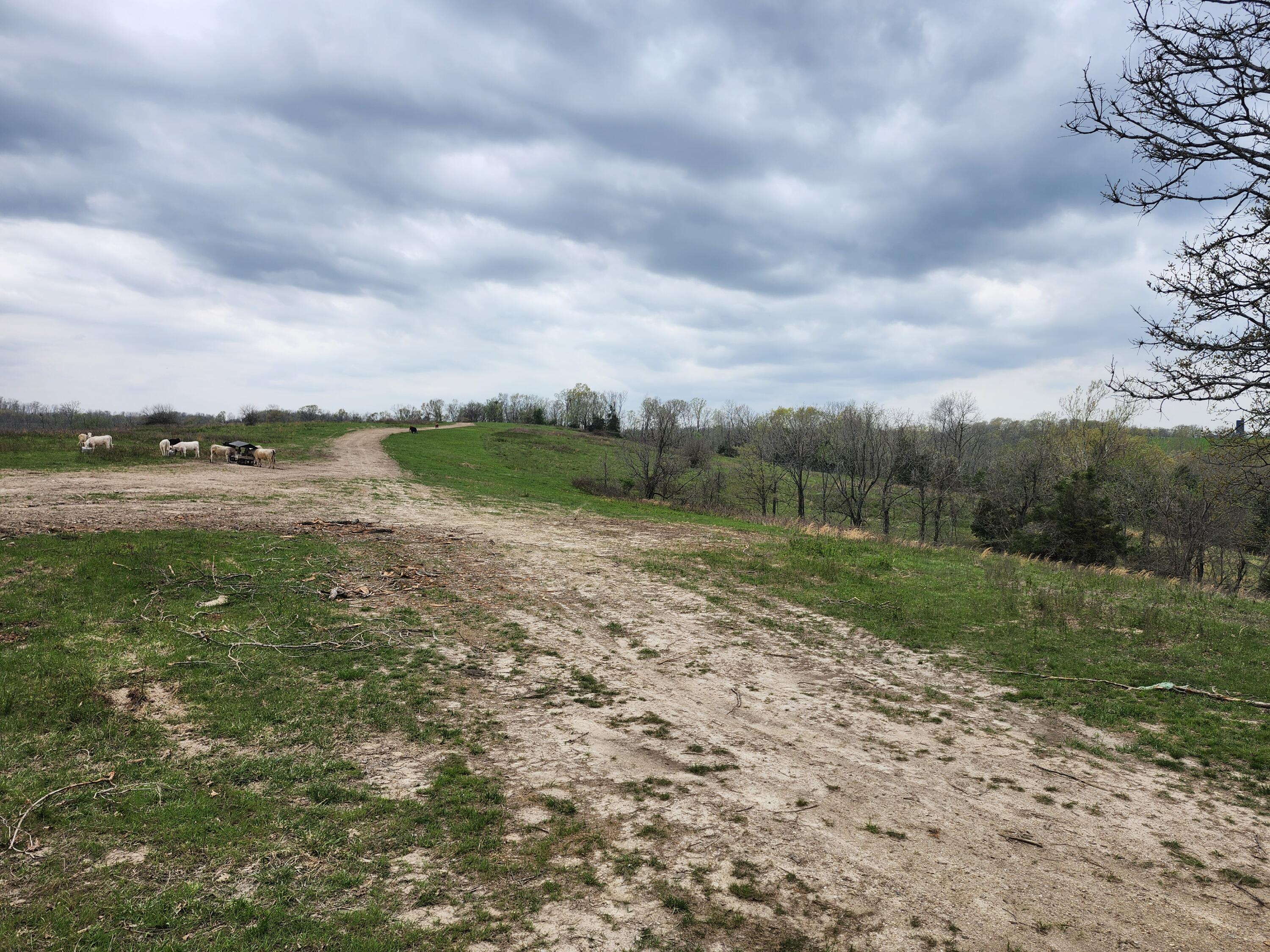 Photo 2 - Land for sale – Tbd  Gravelpoint Road   Mountain Grove, MO