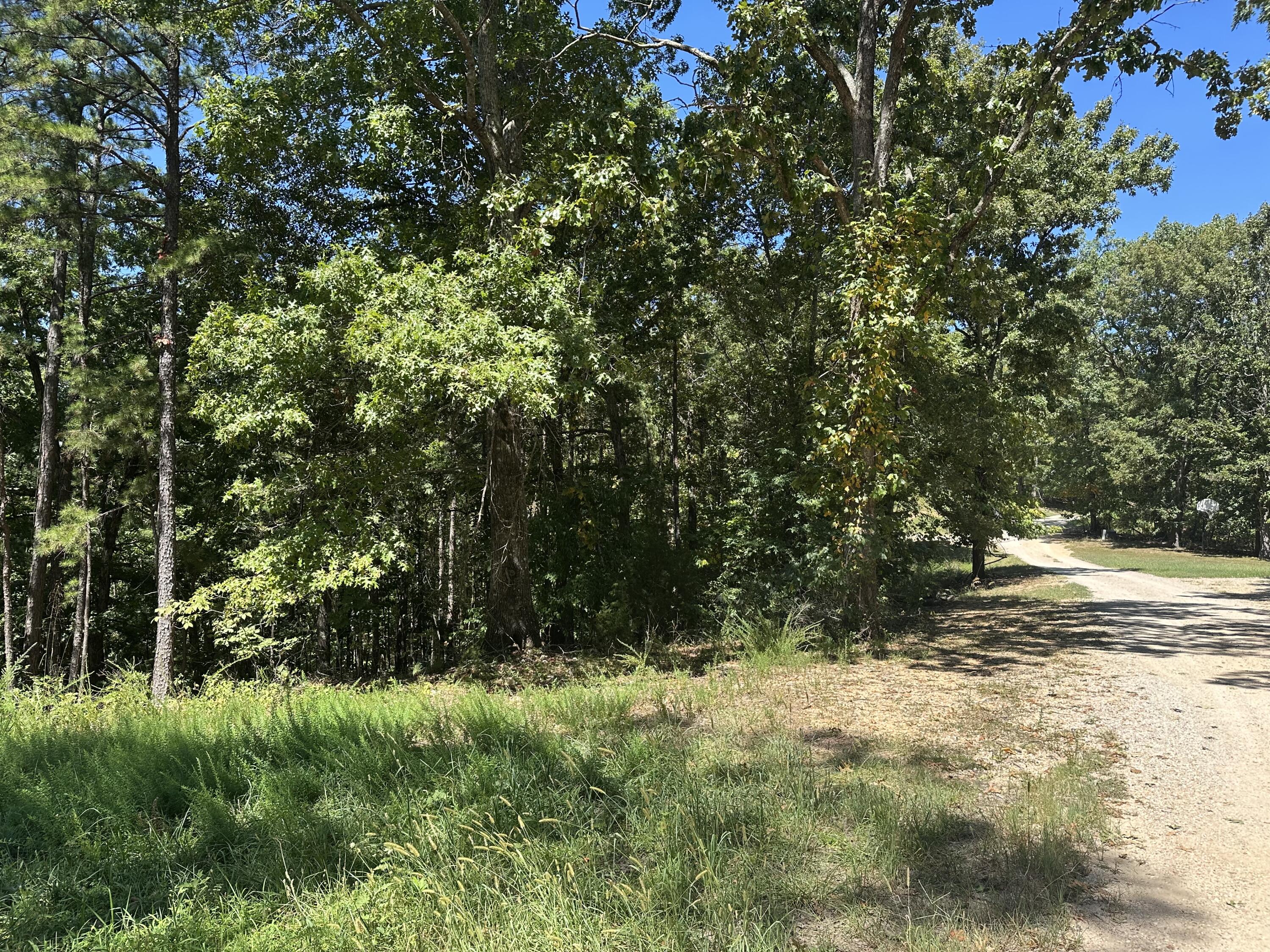 Photo 6 - Land for sale – 000  Payton Place Drive  Van Buren, MO
