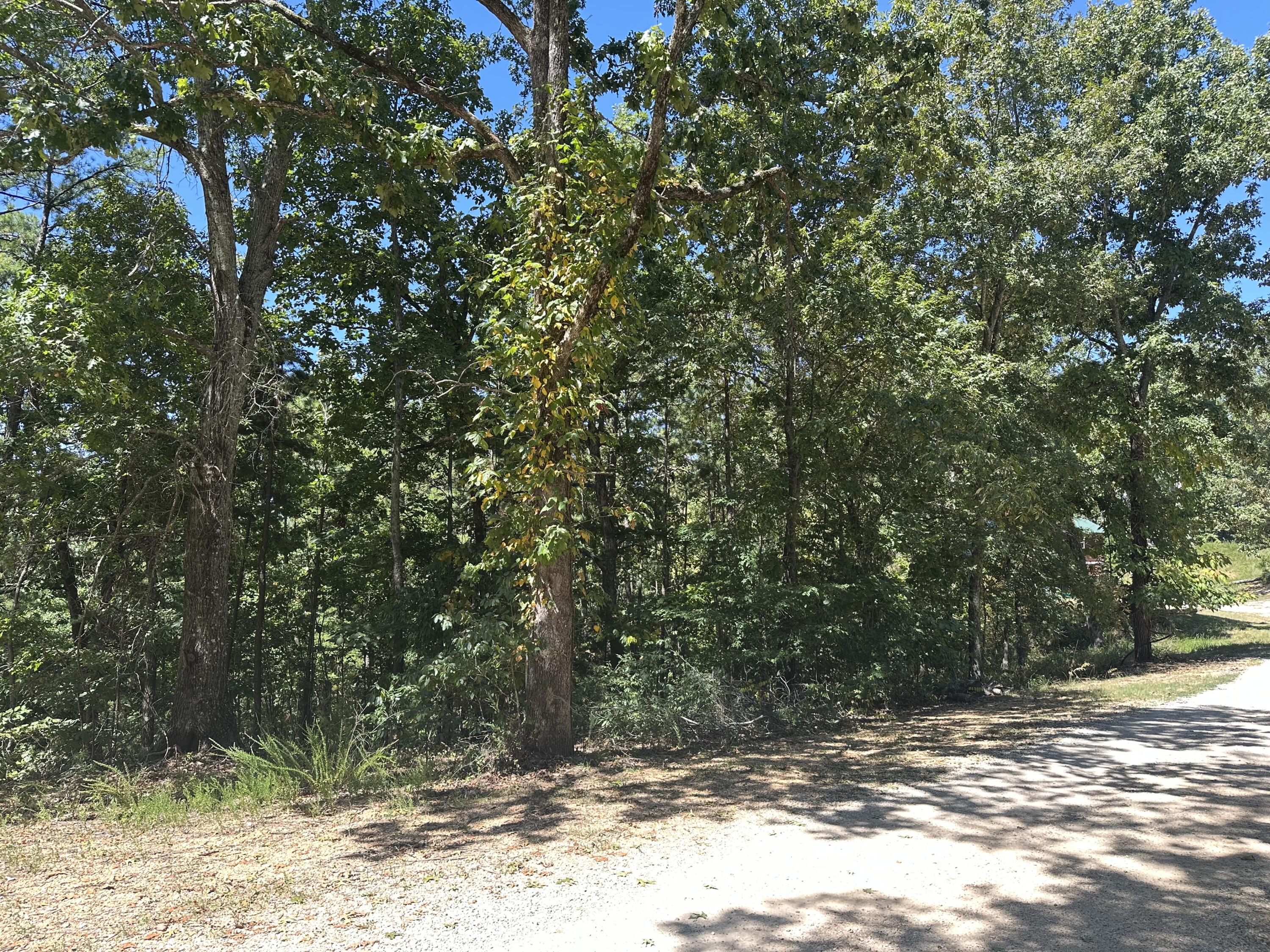 Photo 3 - Land for sale – 000  Payton Place Drive  Van Buren, MO
