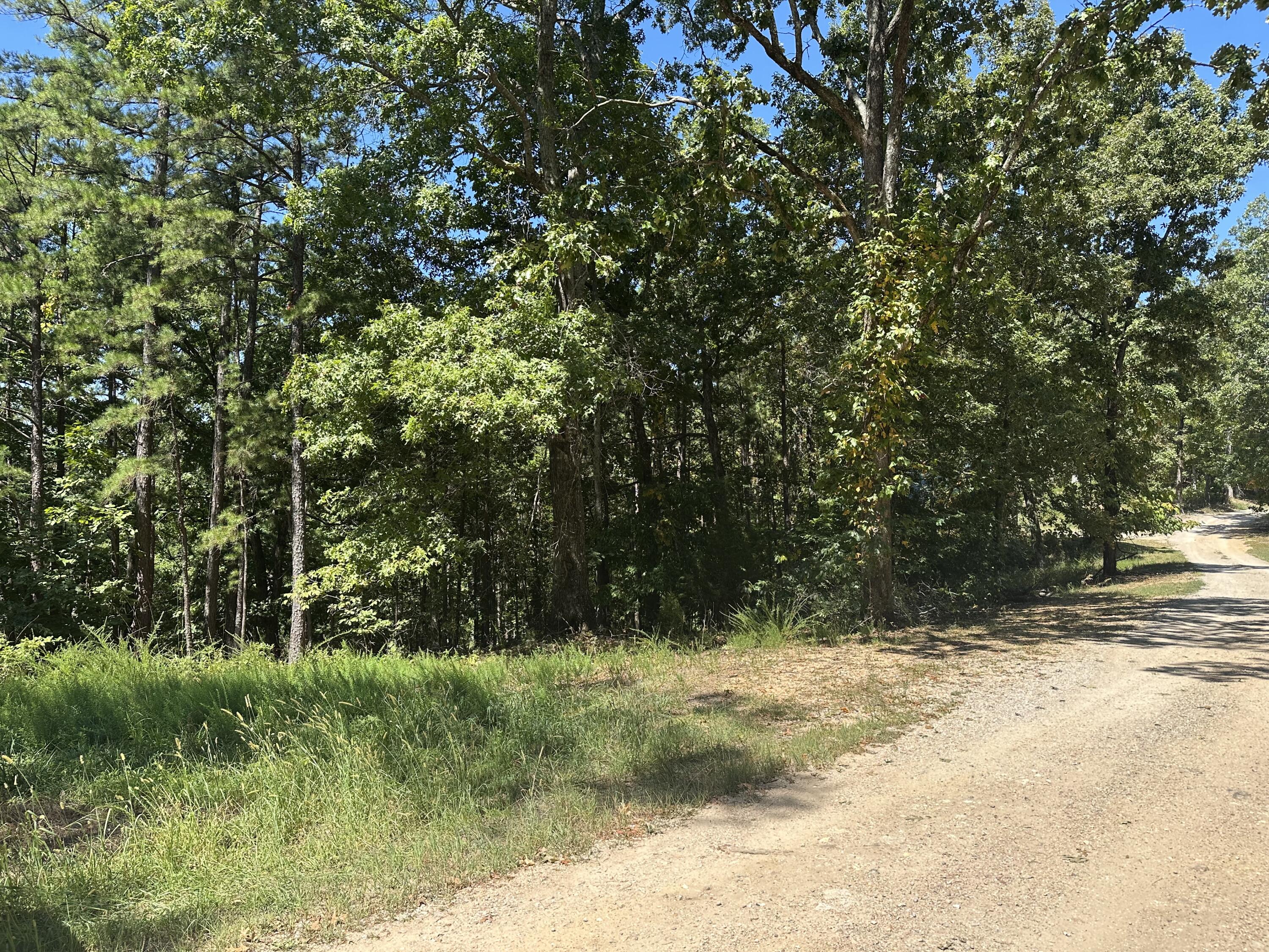Land for sale – 000  Payton Place Drive  Van Buren, MO