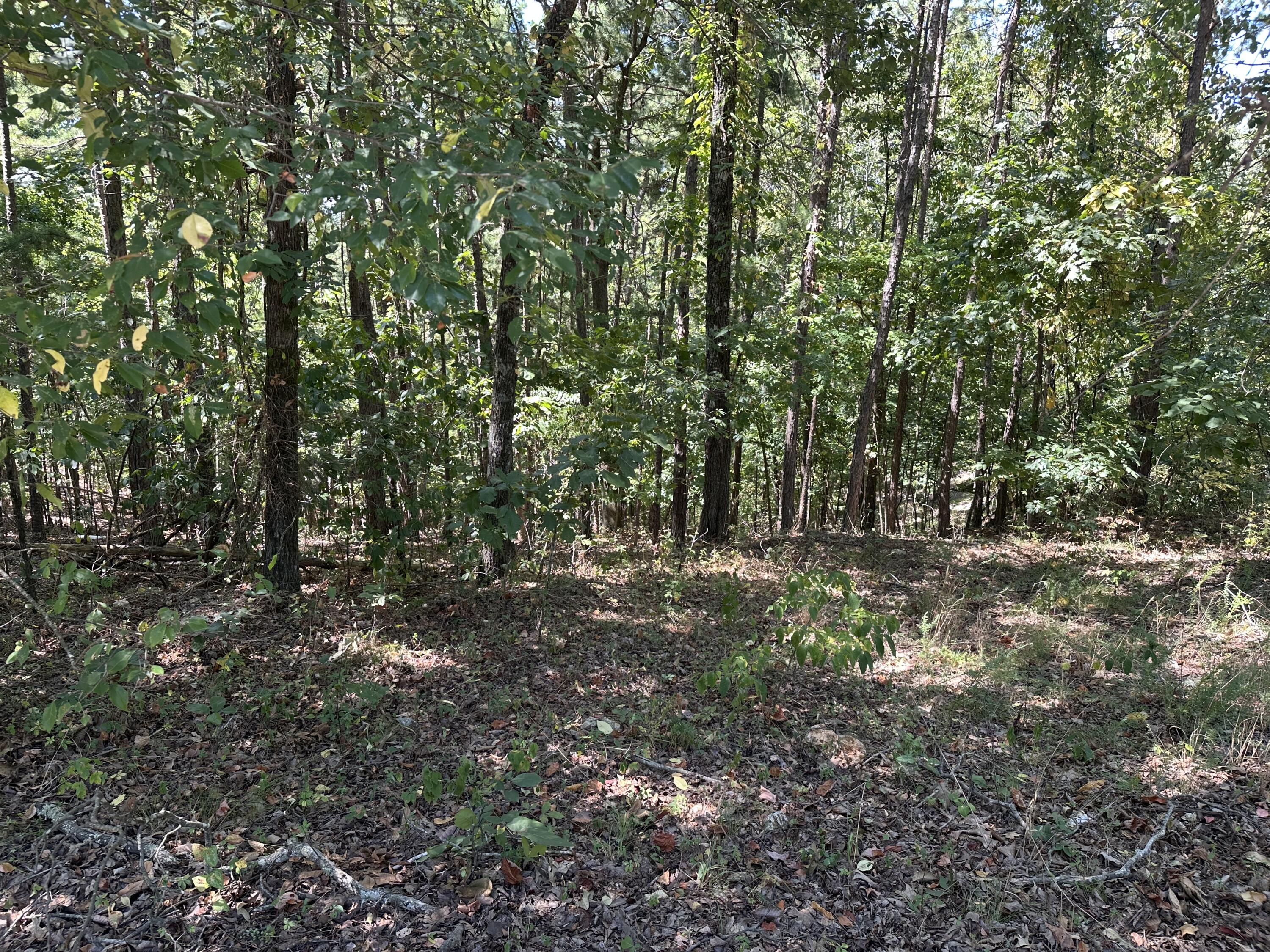 Photo 4 - Land for sale – 000  Payton Place Drive  Van Buren, MO