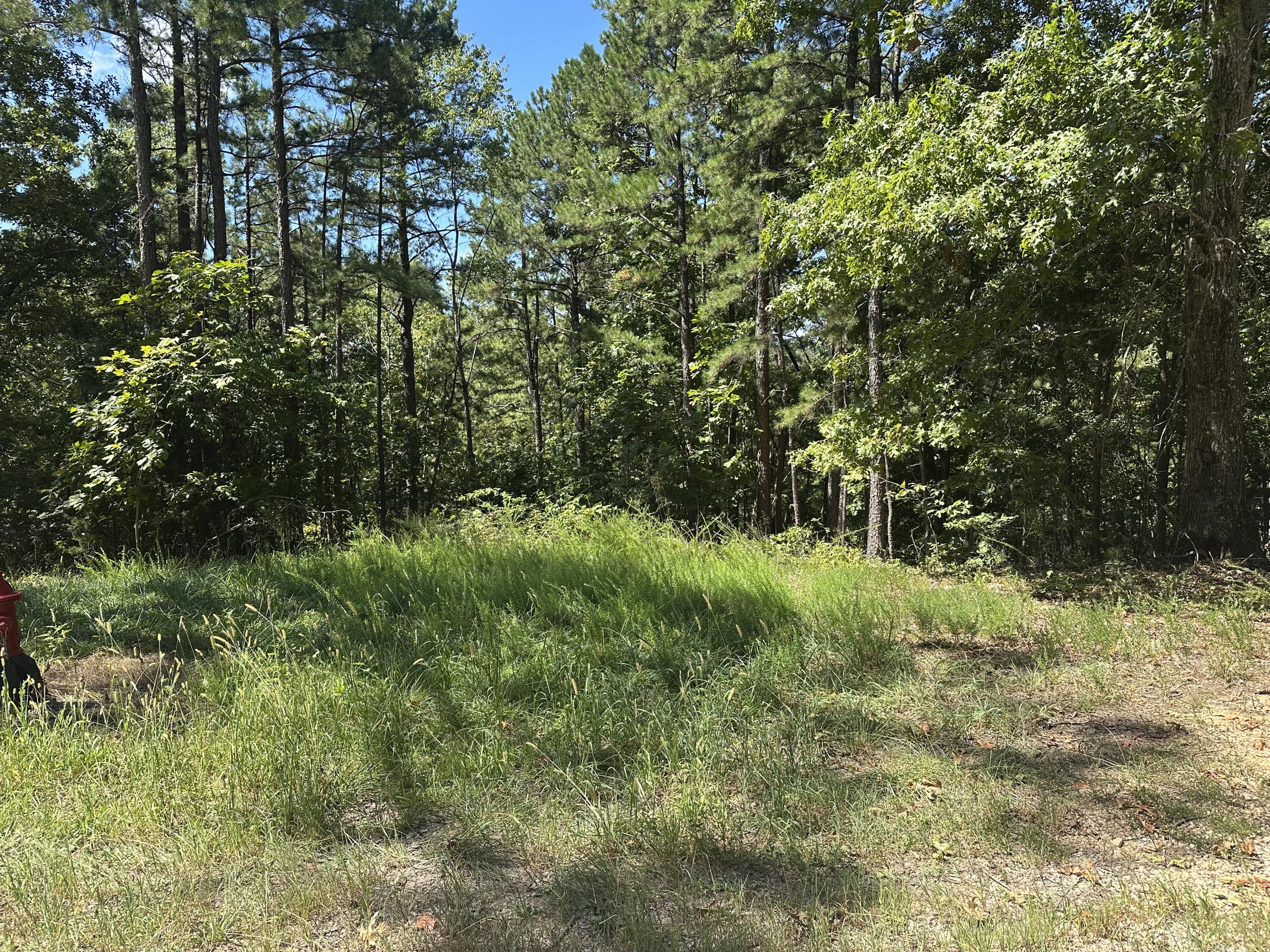 Photo 2 - Land for sale – 000  Payton Place Drive  Van Buren, MO