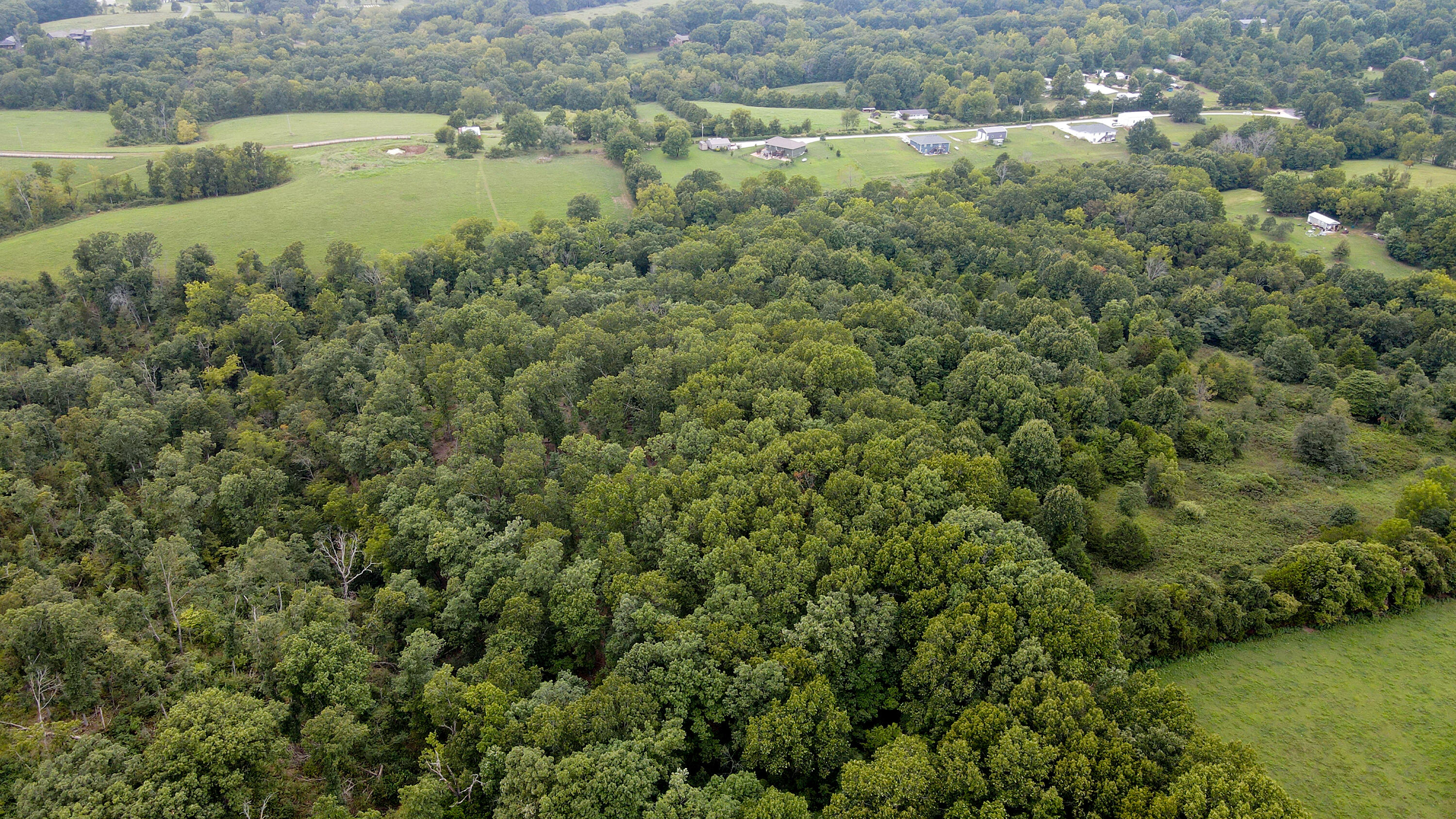 Photo 5 - Land for sale – 363  Henry Drive  Ozark, MO