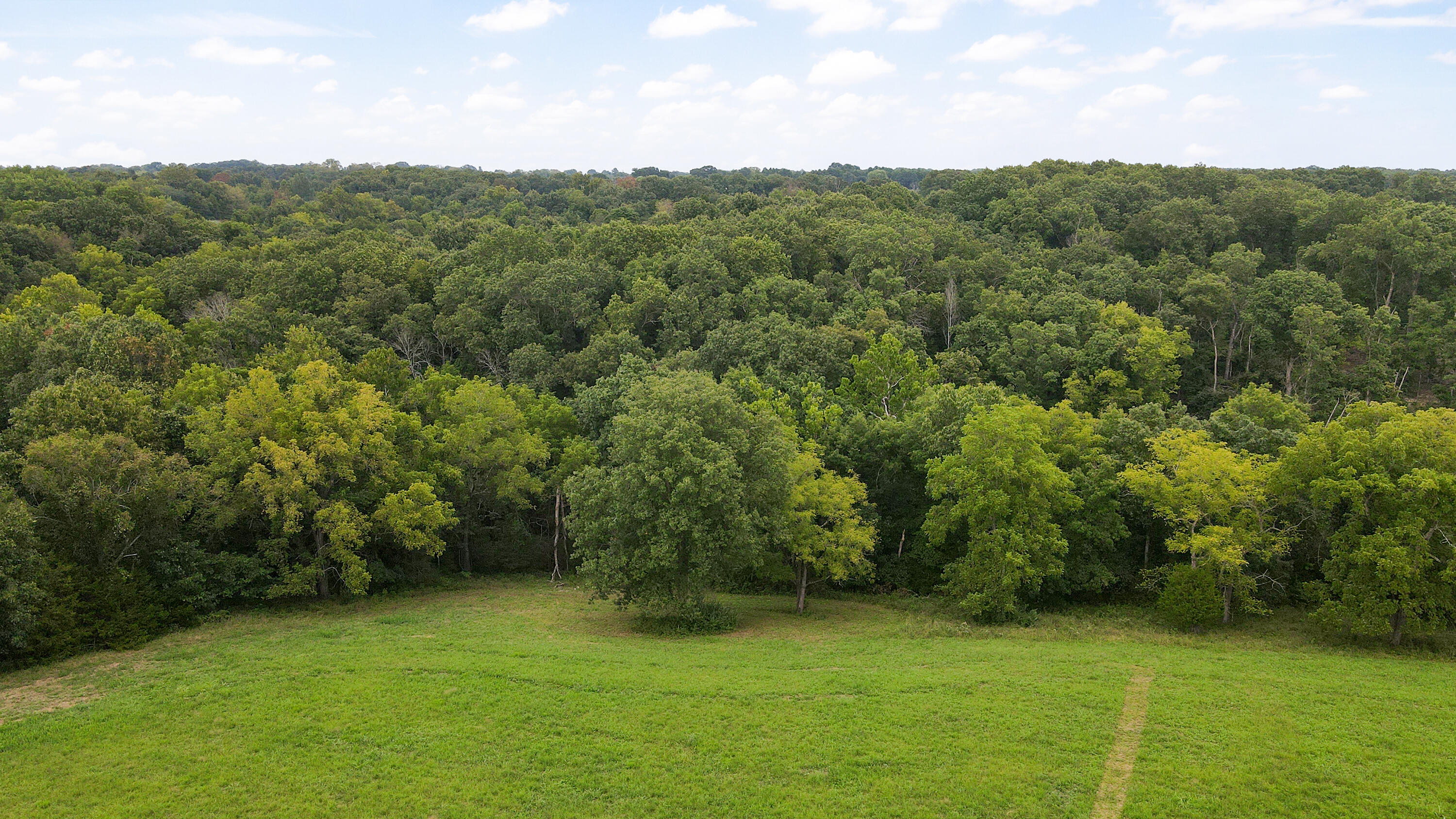 Photo 12 - Land for sale – 363  Henry Drive  Ozark, MO