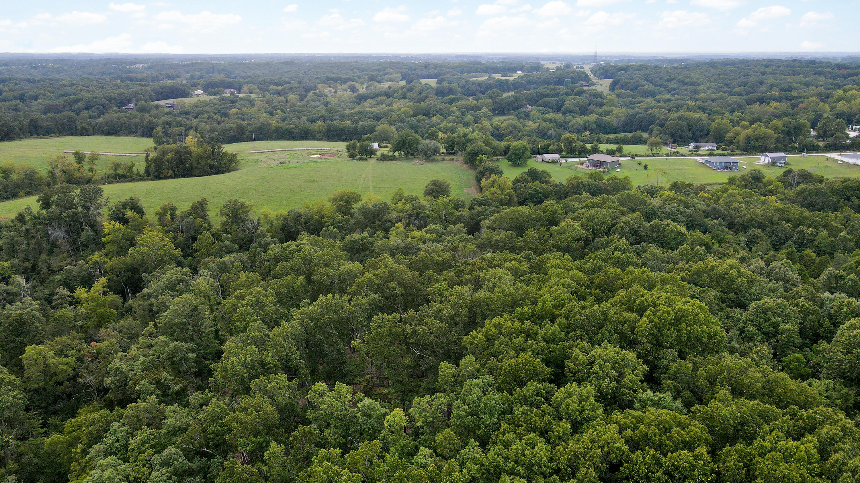 Photo 7 - Land for sale – 363  Henry Drive  Ozark, MO