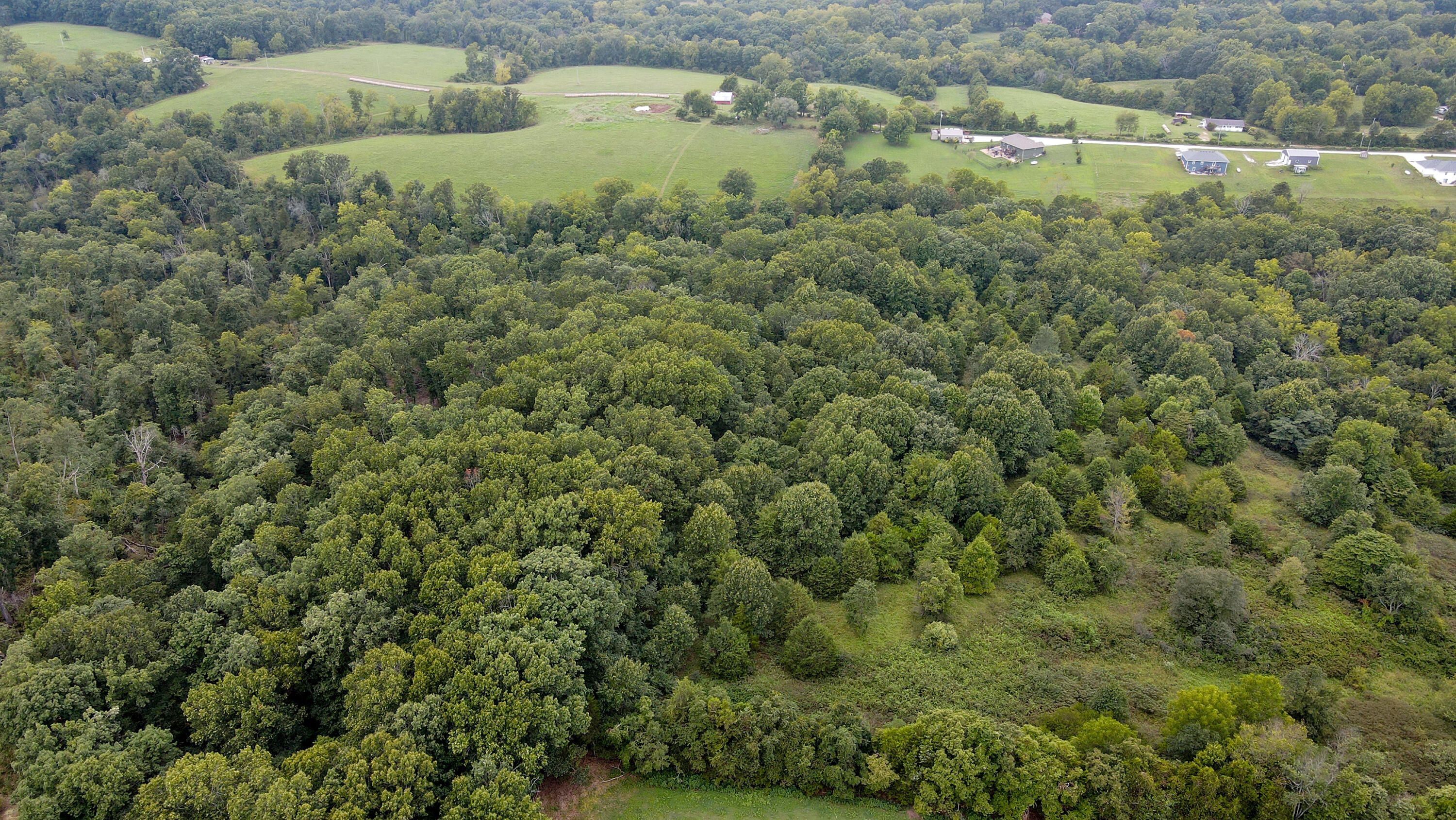 Photo 4 - Land for sale – 363  Henry Drive  Ozark, MO