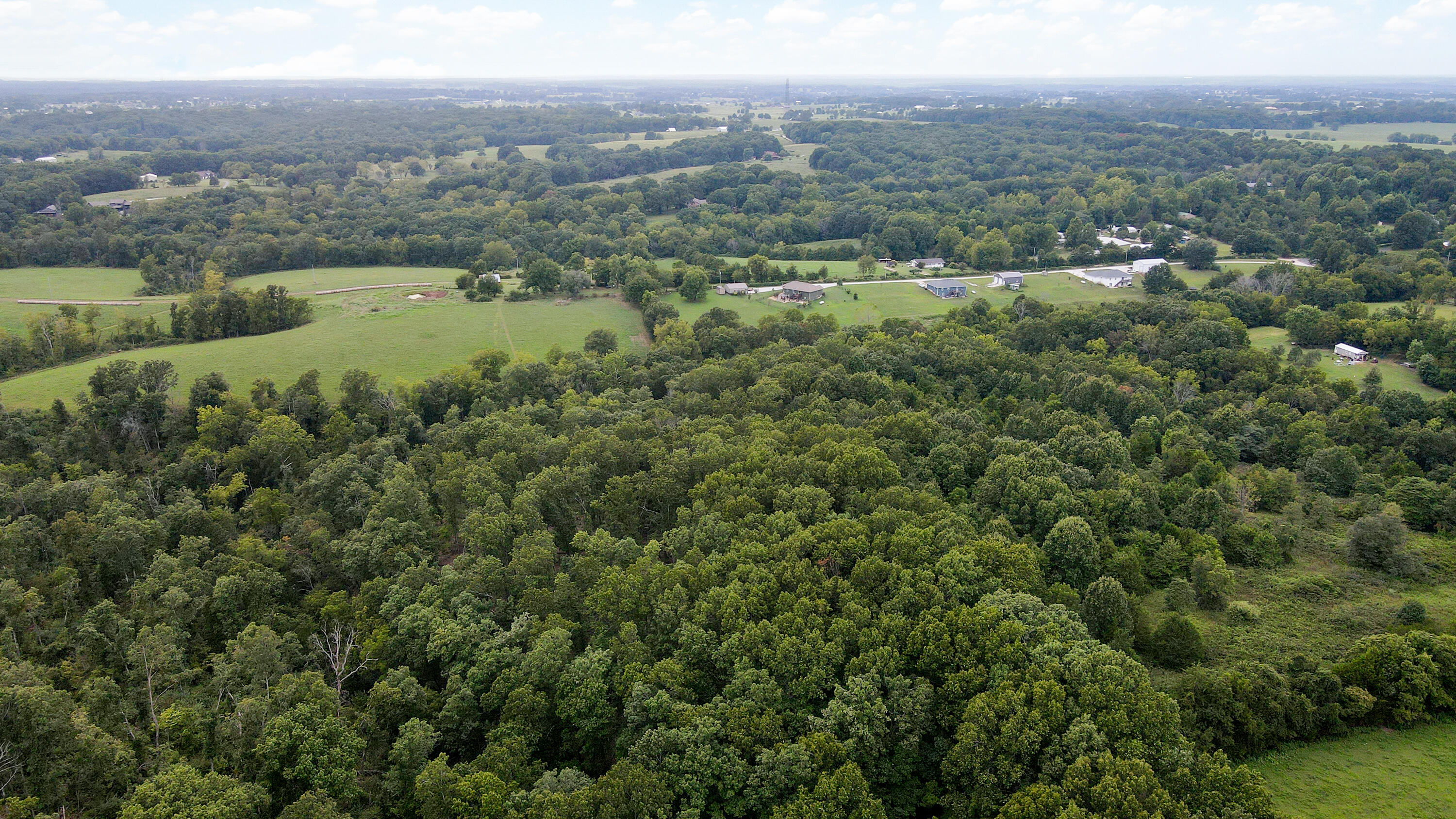 Photo 6 - Land for sale – 363  Henry Drive  Ozark, MO