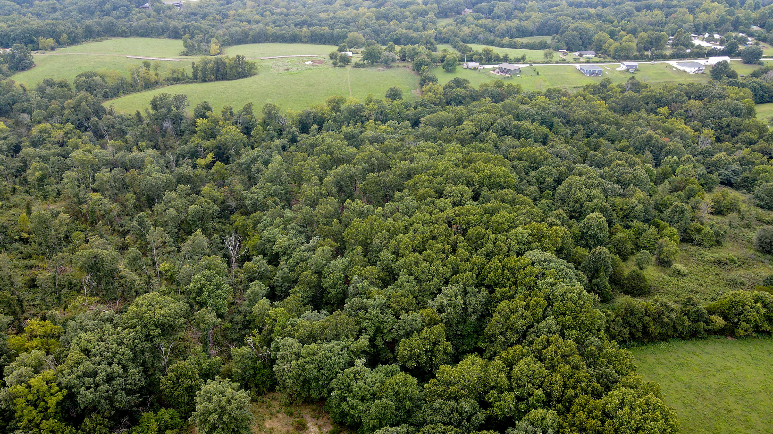 Photo 8 - Land for sale – 363  Henry Drive  Ozark, MO