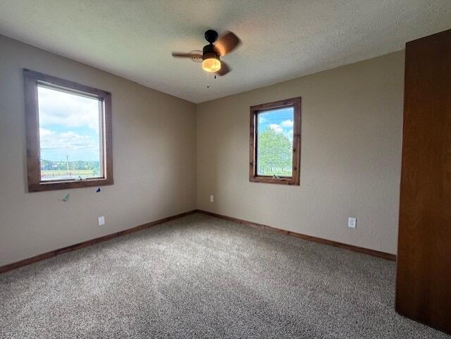 Photo 39 - Farm for sale – 1322  95 Highway  Mountain Grove, MO