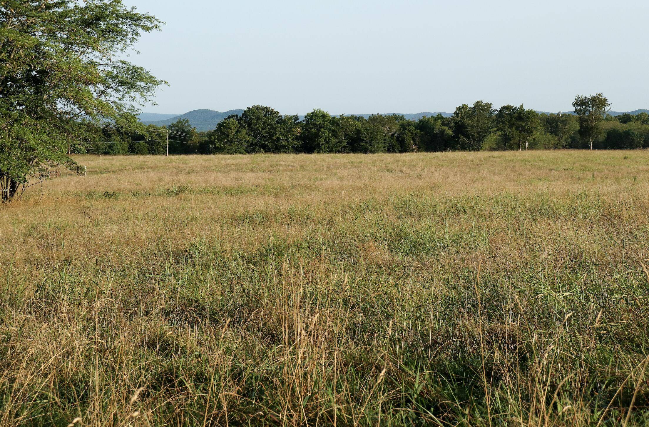 Photo 15 - Land for sale – 000  Quiet Acres Road  Lampe, MO