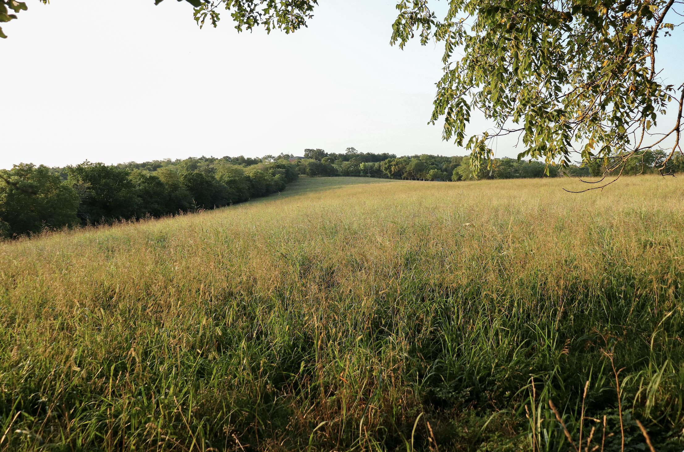 Photo 50 - Land for sale – 000  Quiet Acres Road  Lampe, MO