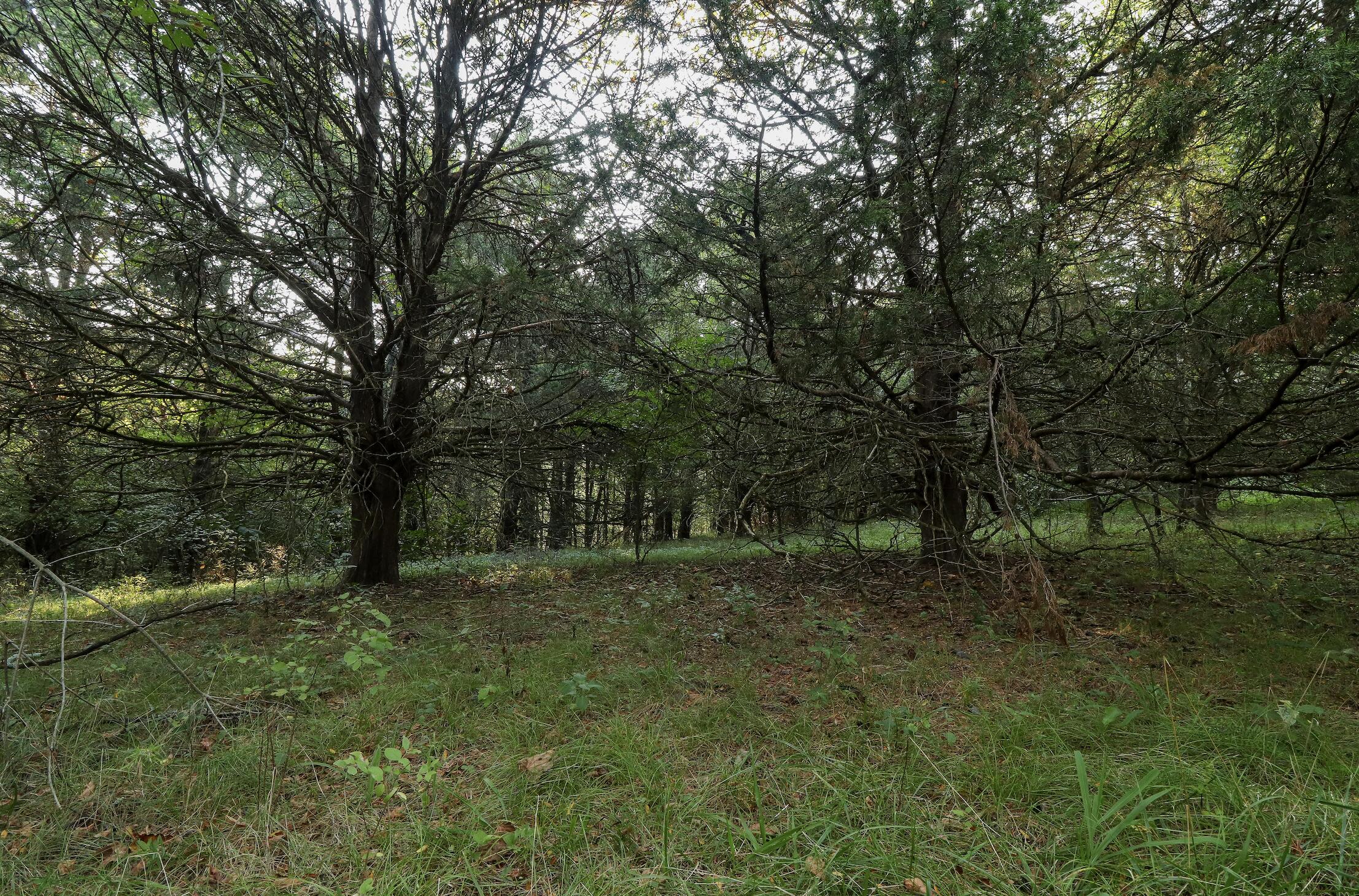 Photo 25 - Land for sale – 000  Quiet Acres Road  Lampe, MO