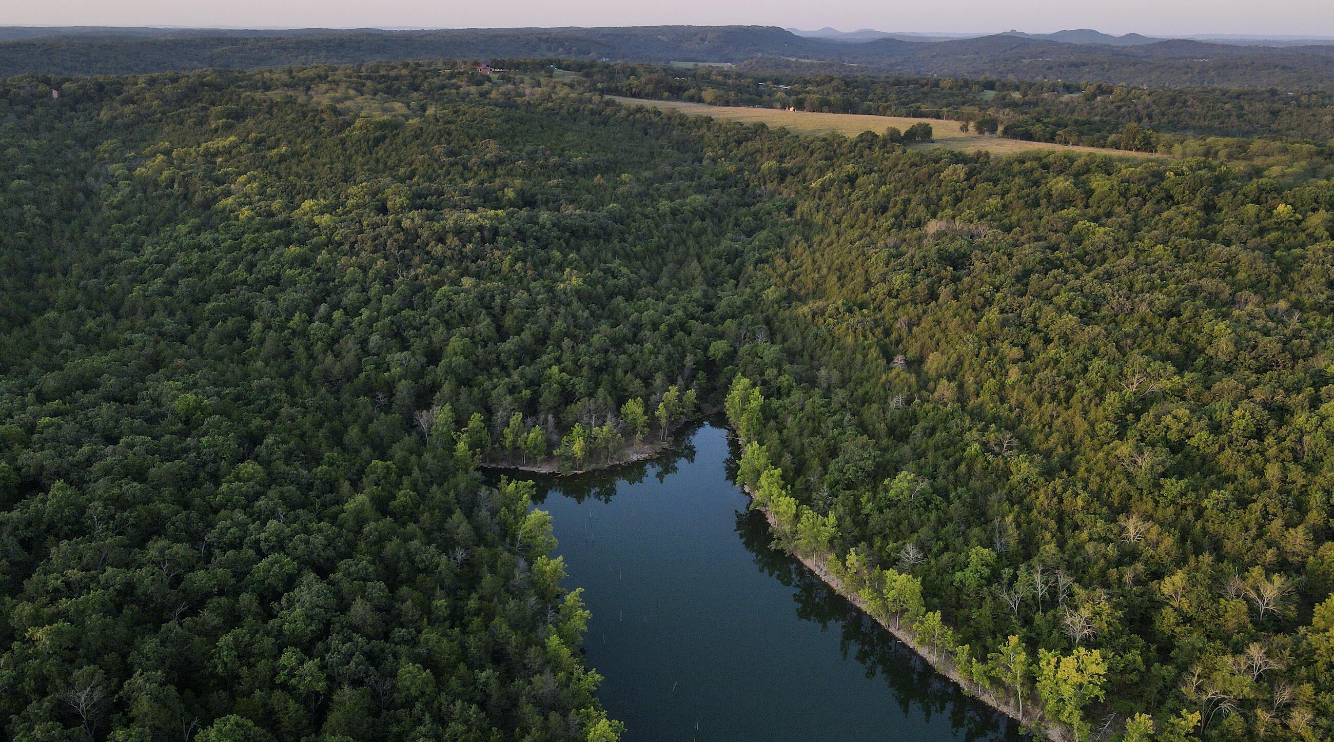 Photo 8 - Land for sale – 000  Quiet Acres Road  Lampe, MO