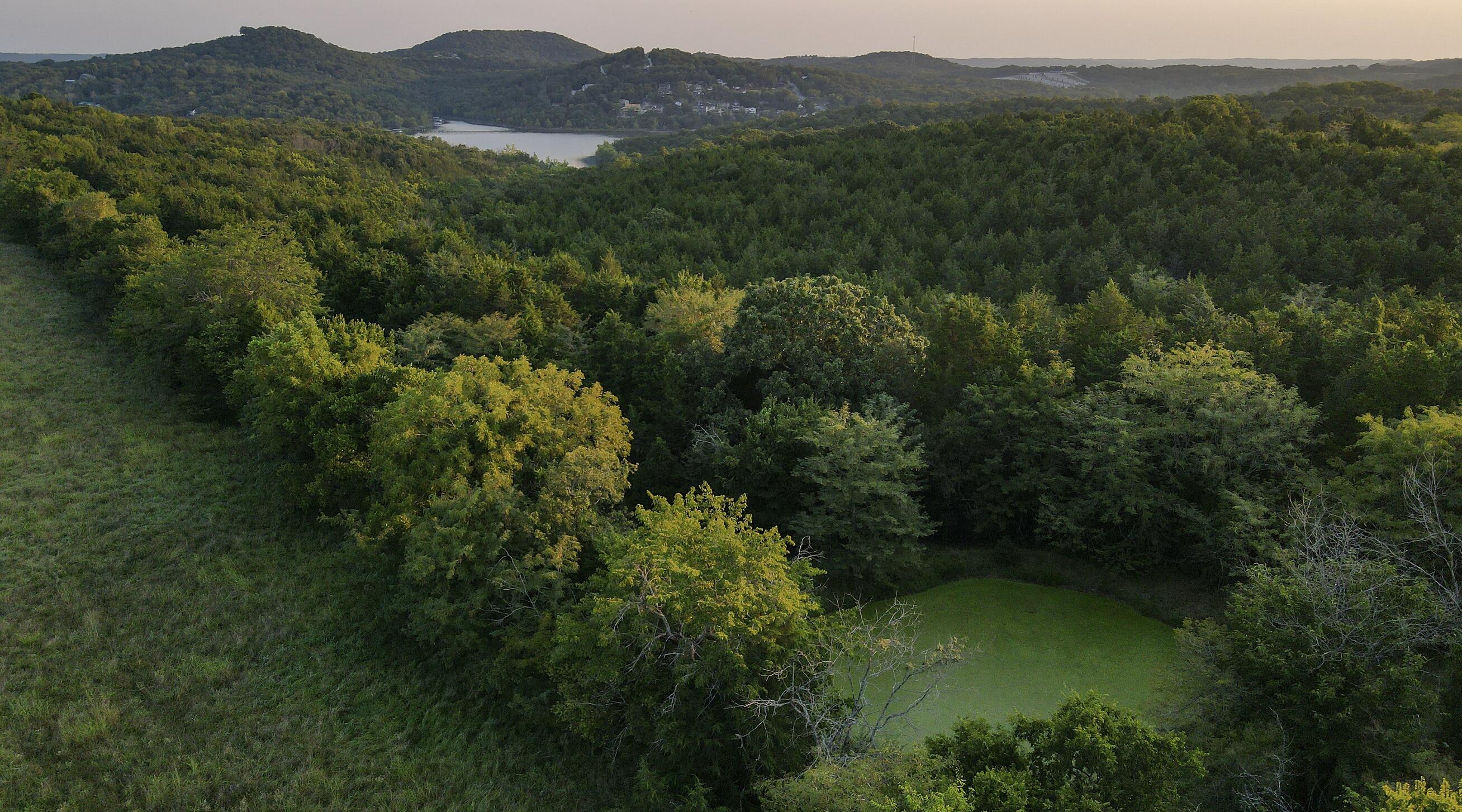 Photo 6 - Land for sale – 000  Quiet Acres Road  Lampe, MO