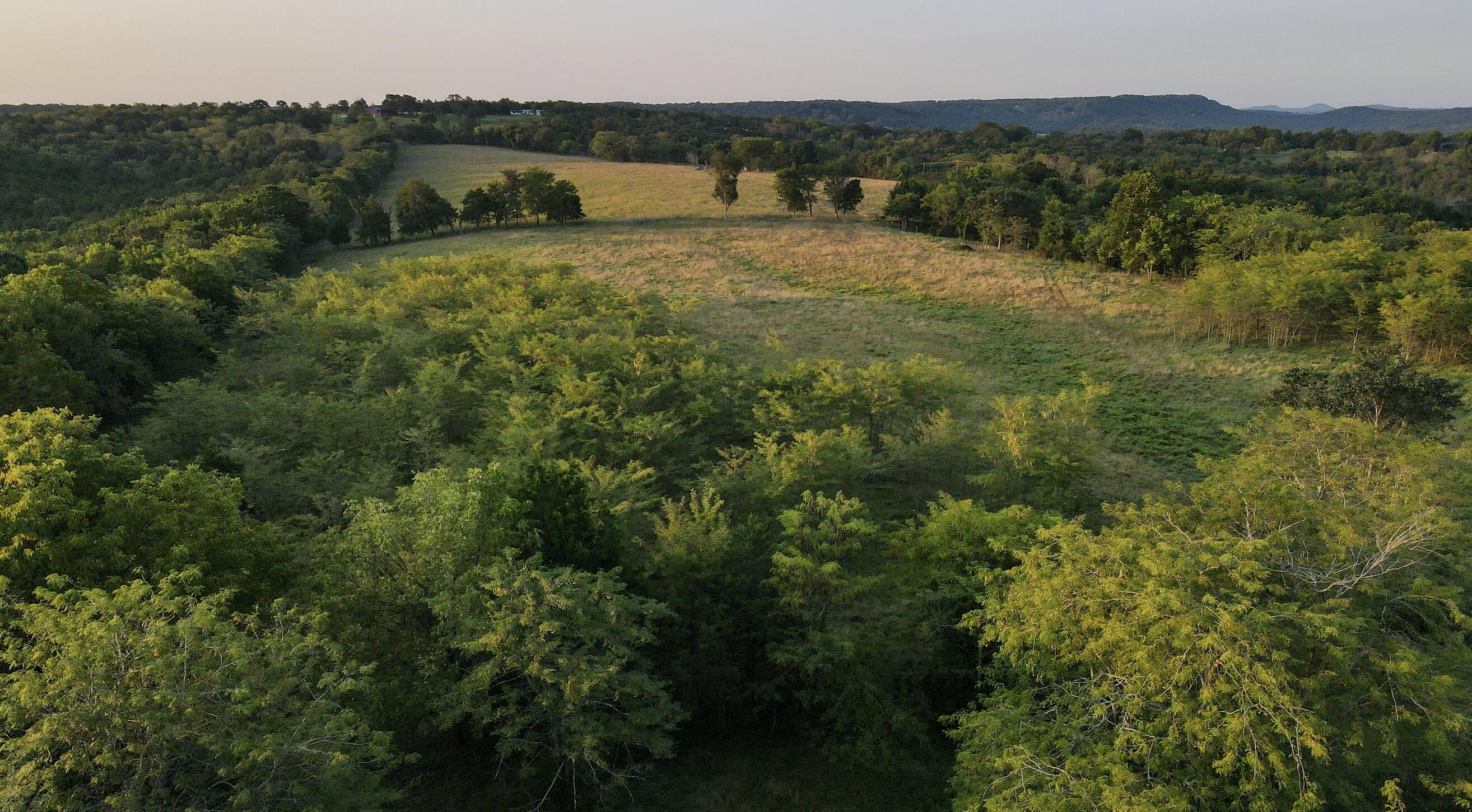 Photo 11 - Land for sale – 000  Quiet Acres Road  Lampe, MO