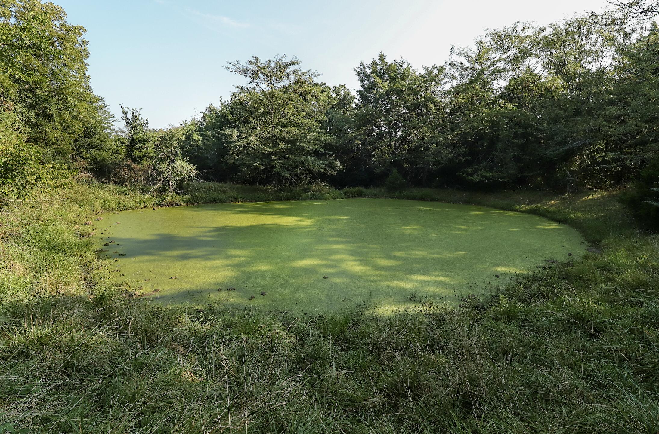 Photo 22 - Land for sale – 000  Quiet Acres Road  Lampe, MO