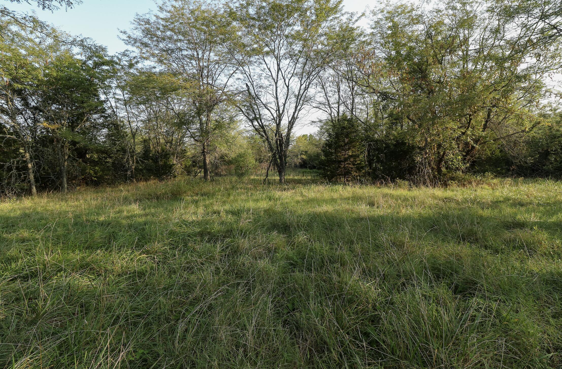 Photo 29 - Land for sale – 000  Quiet Acres Road  Lampe, MO