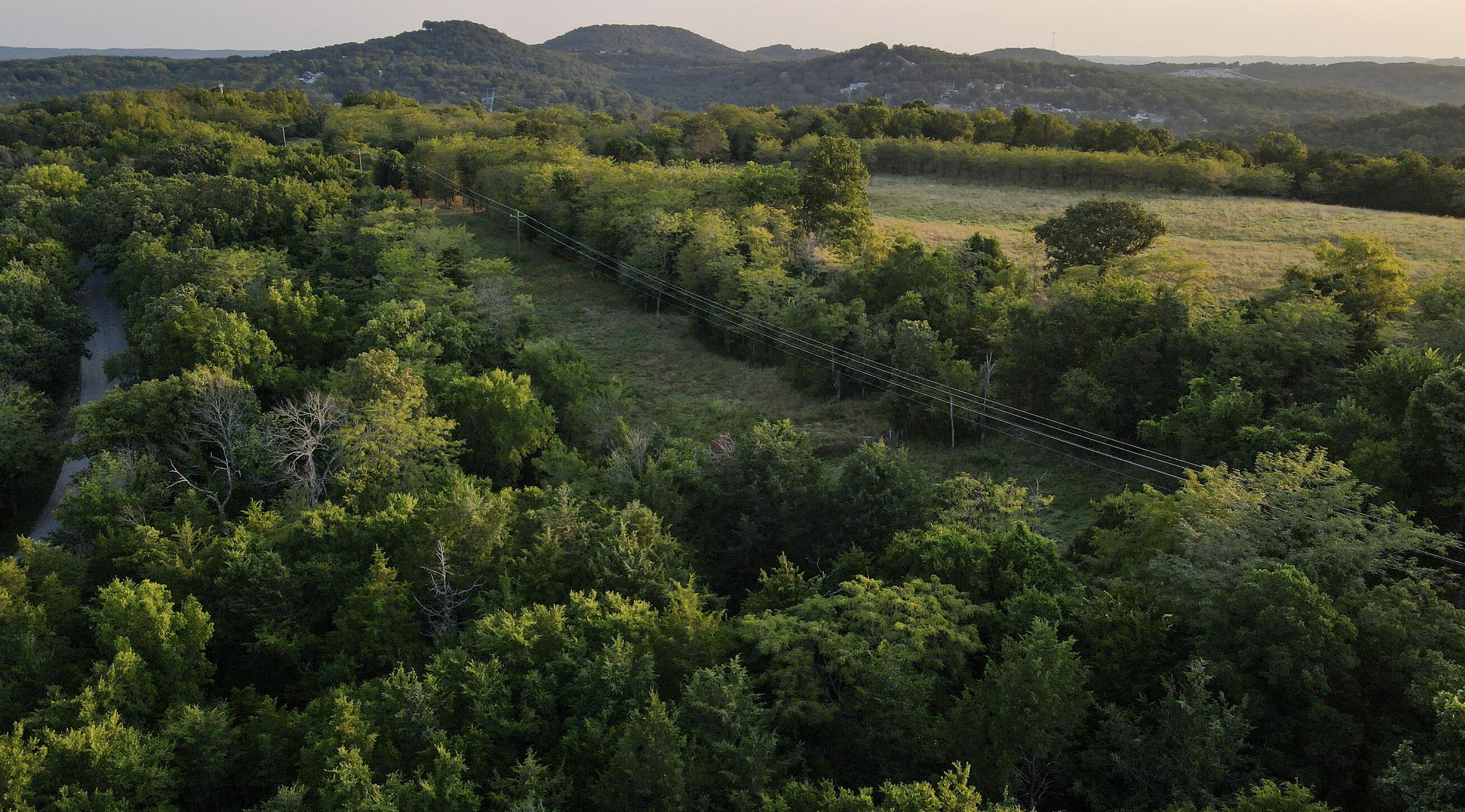 Photo 4 - Land for sale – 000  Quiet Acres Road  Lampe, MO