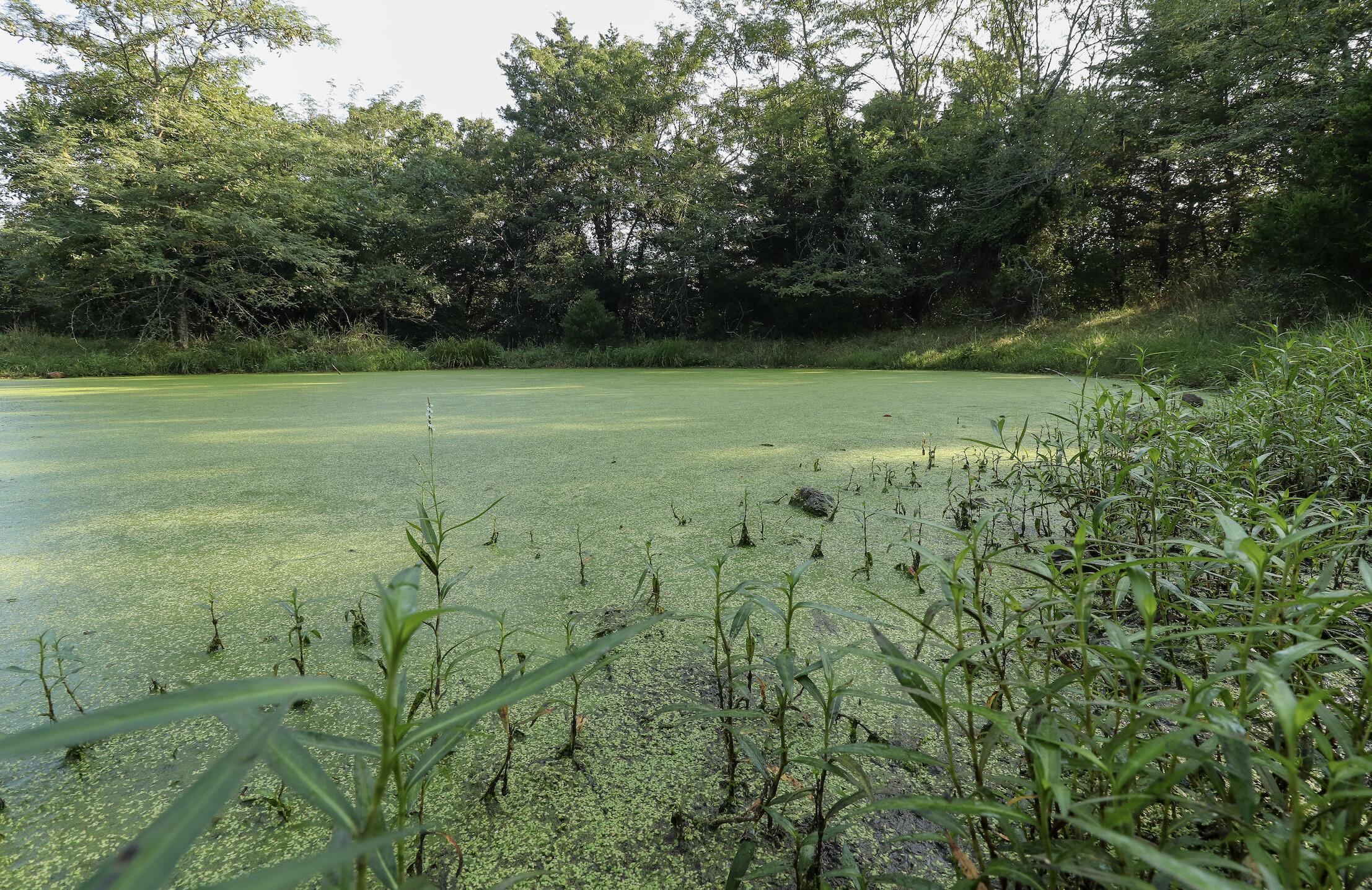 Photo 21 - Land for sale – 000  Quiet Acres Road  Lampe, MO