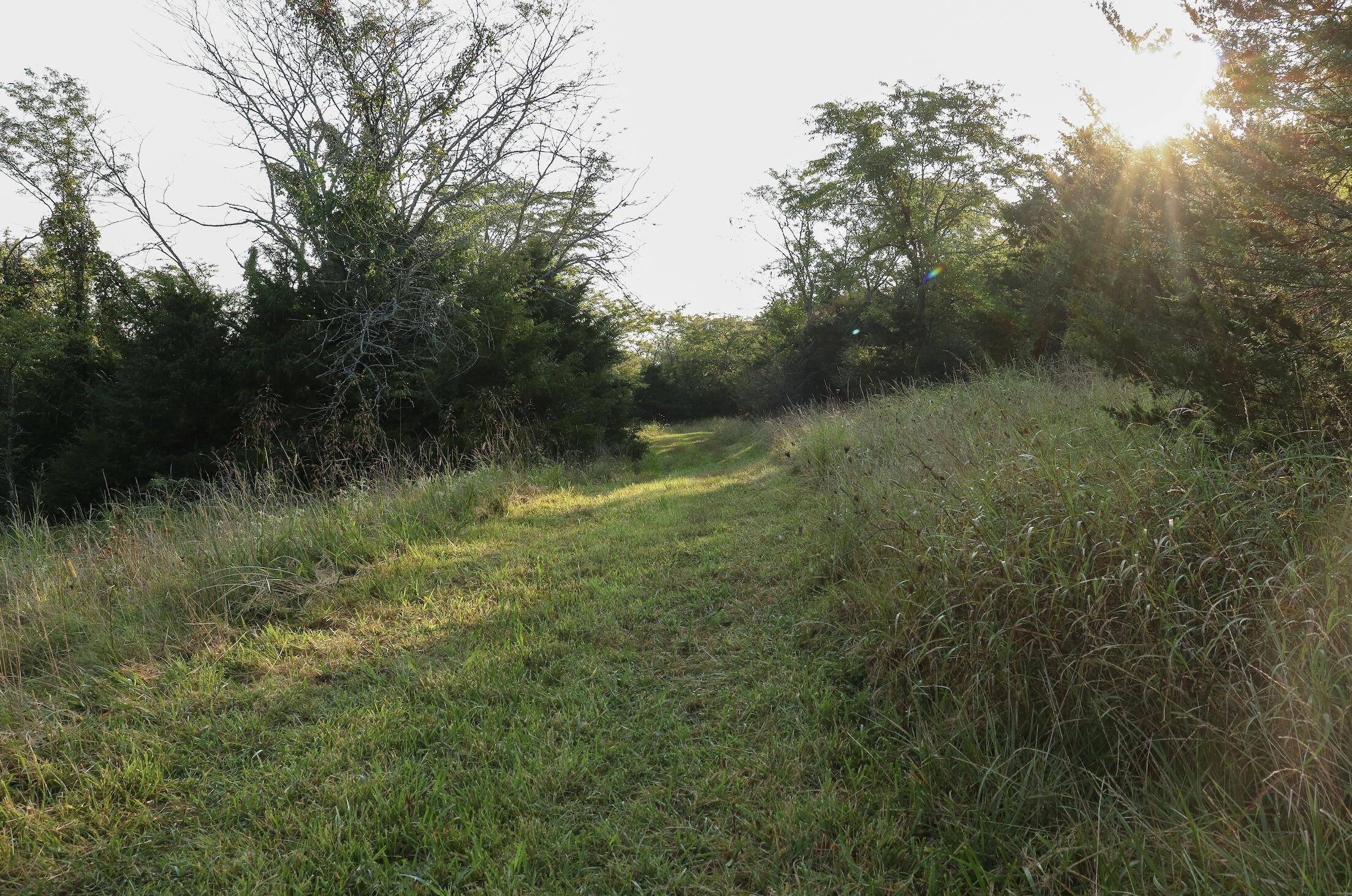 Photo 35 - Land for sale – 000  Quiet Acres Road  Lampe, MO