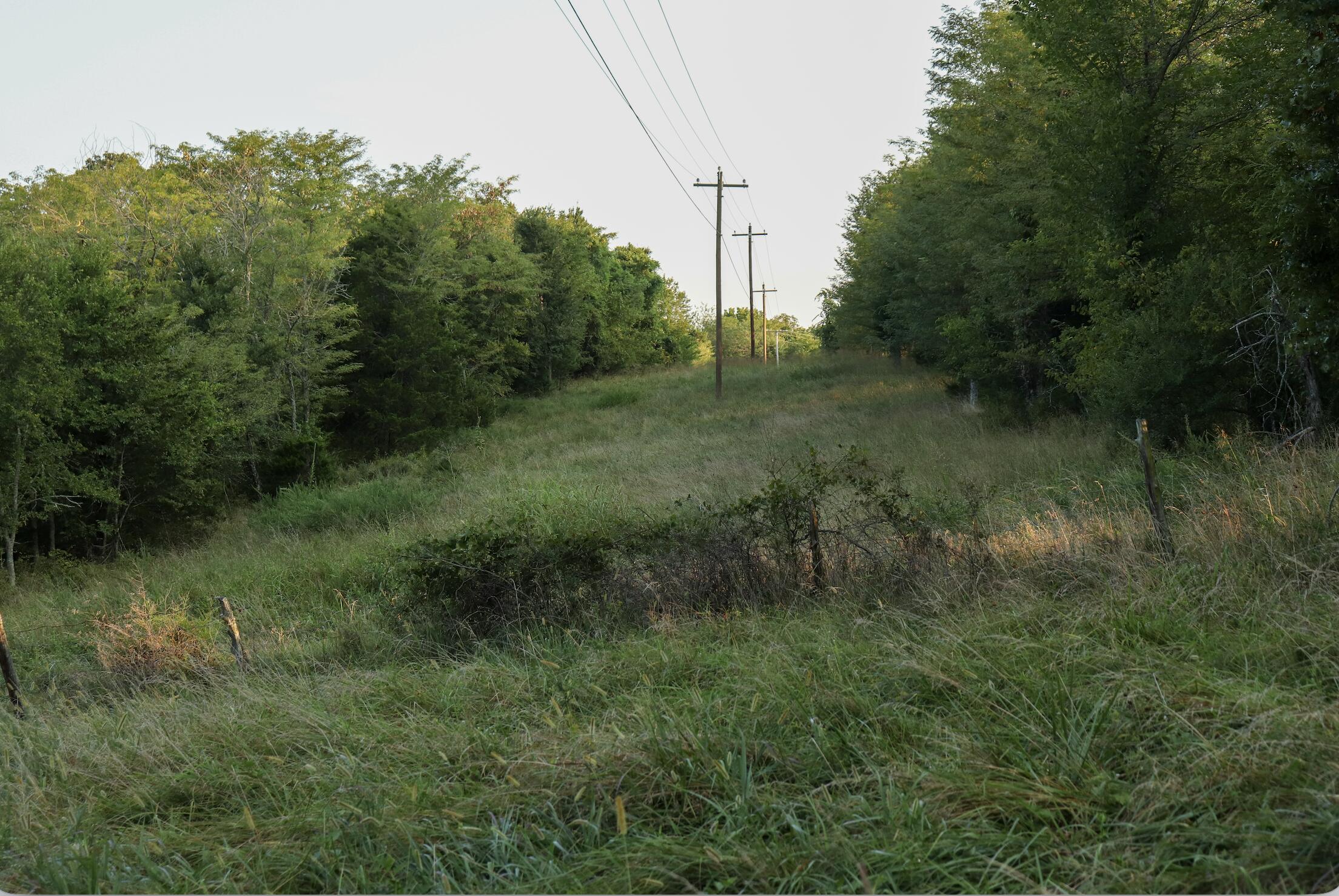 Photo 51 - Land for sale – 000  Quiet Acres Road  Lampe, MO