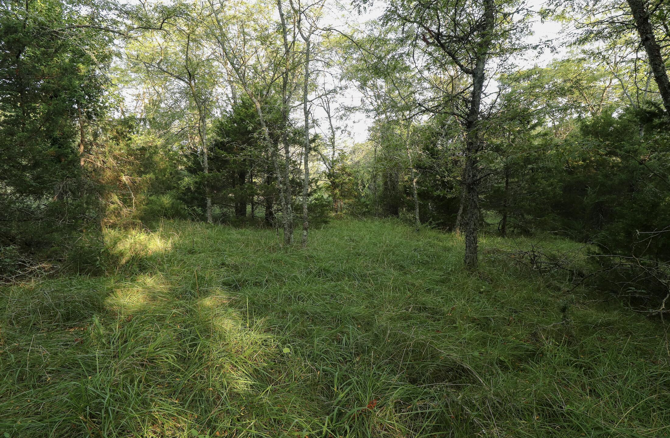 Photo 31 - Land for sale – 000  Quiet Acres Road  Lampe, MO