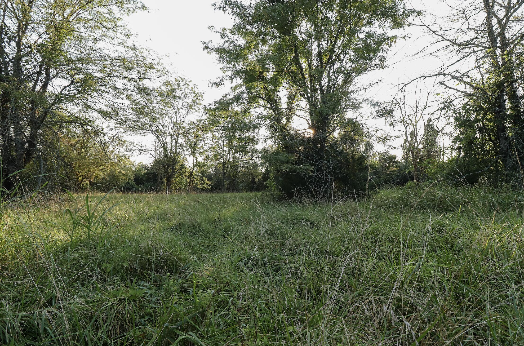 Photo 34 - Land for sale – 000  Quiet Acres Road  Lampe, MO