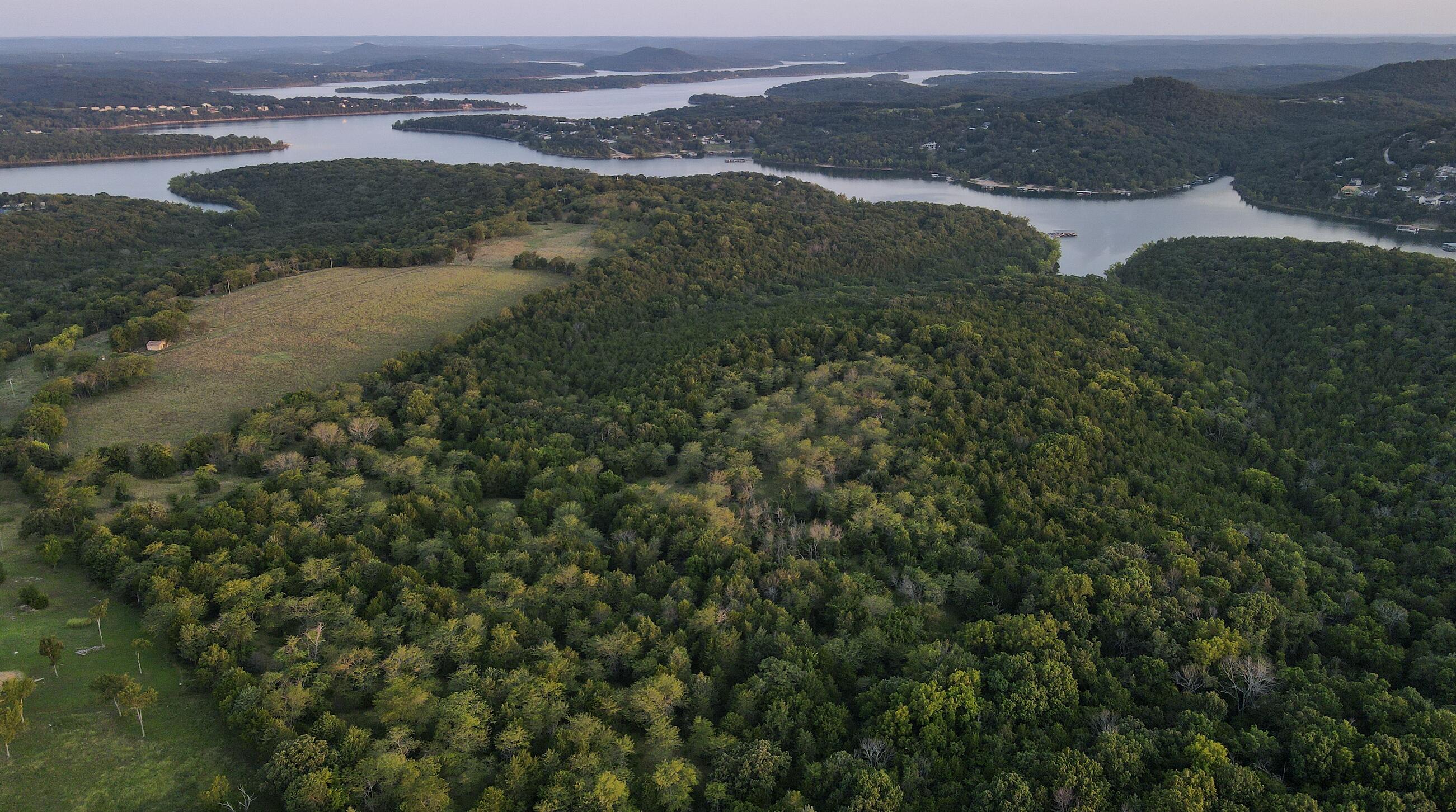Land for sale – 000 Quiet Acres Road Lampe, MO