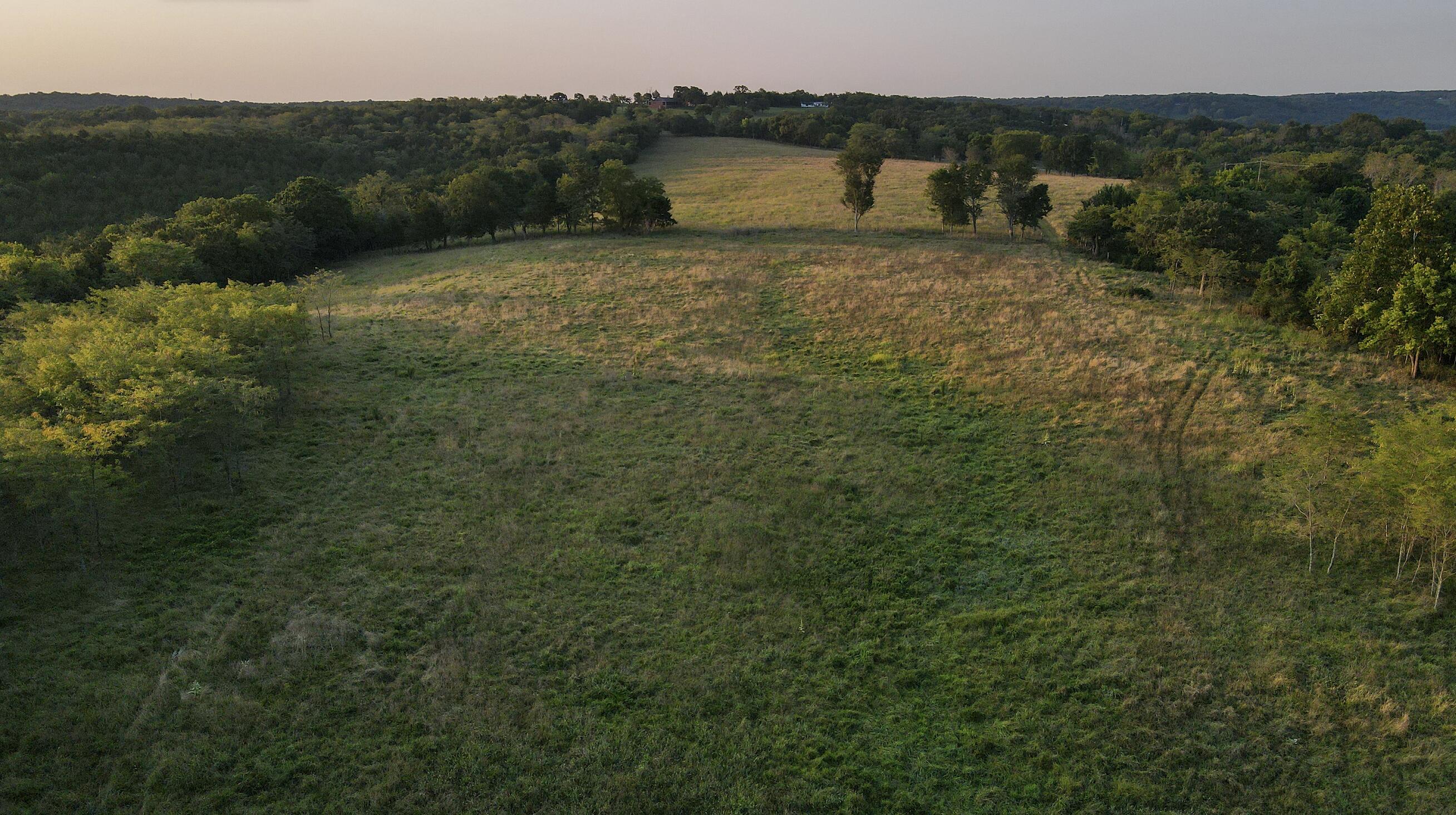 Photo 13 - Land for sale – 000  Quiet Acres Road  Lampe, MO