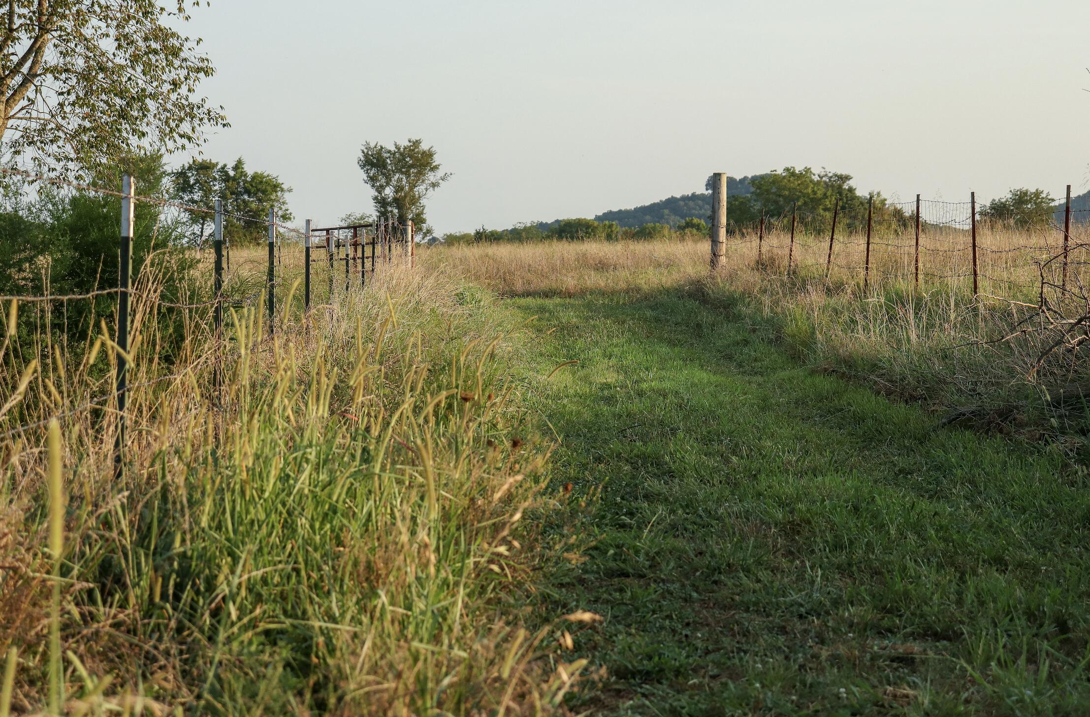 Photo 45 - Land for sale – 000  Quiet Acres Road  Lampe, MO