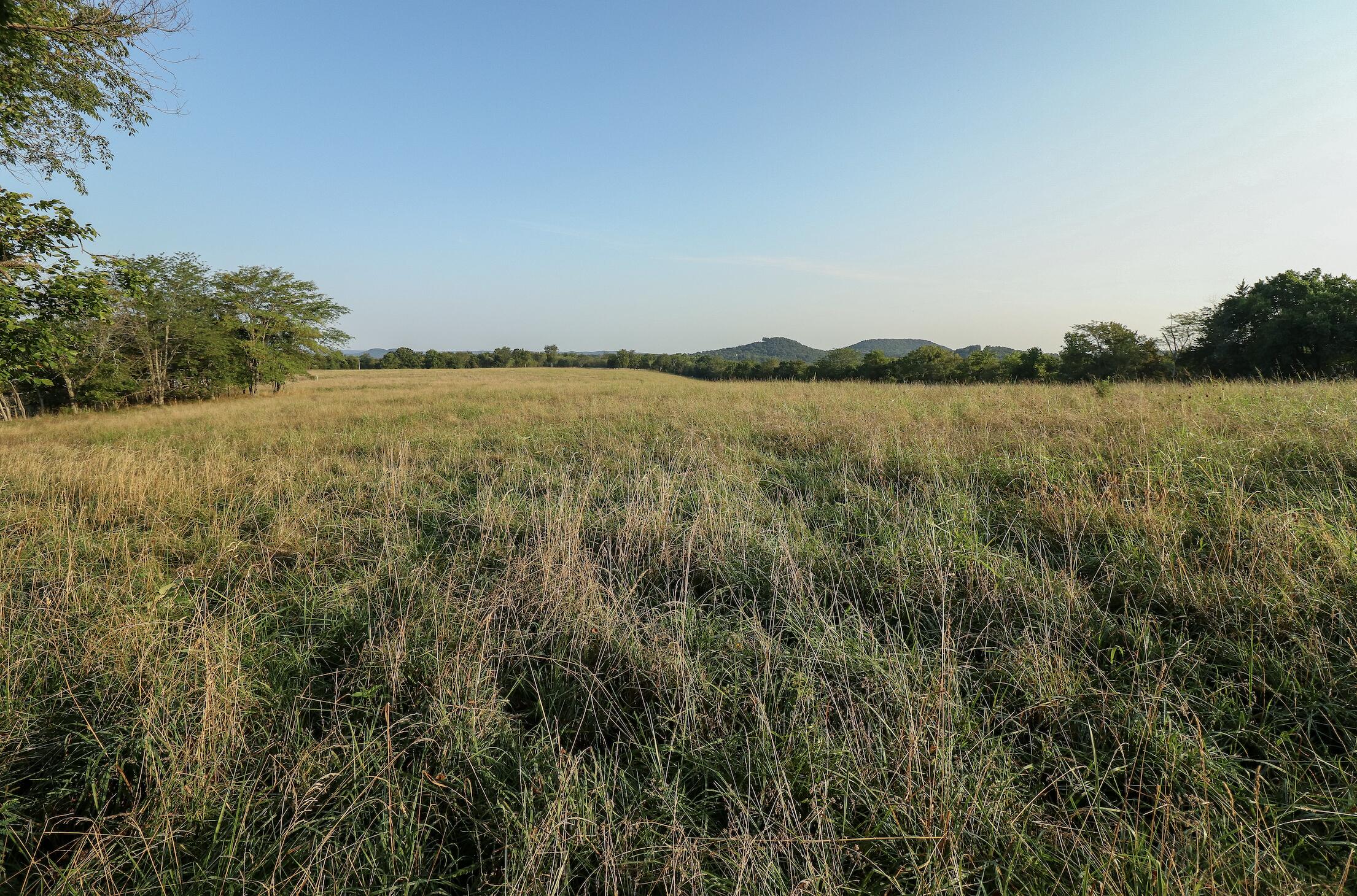 Photo 16 - Land for sale – 000  Quiet Acres Road  Lampe, MO