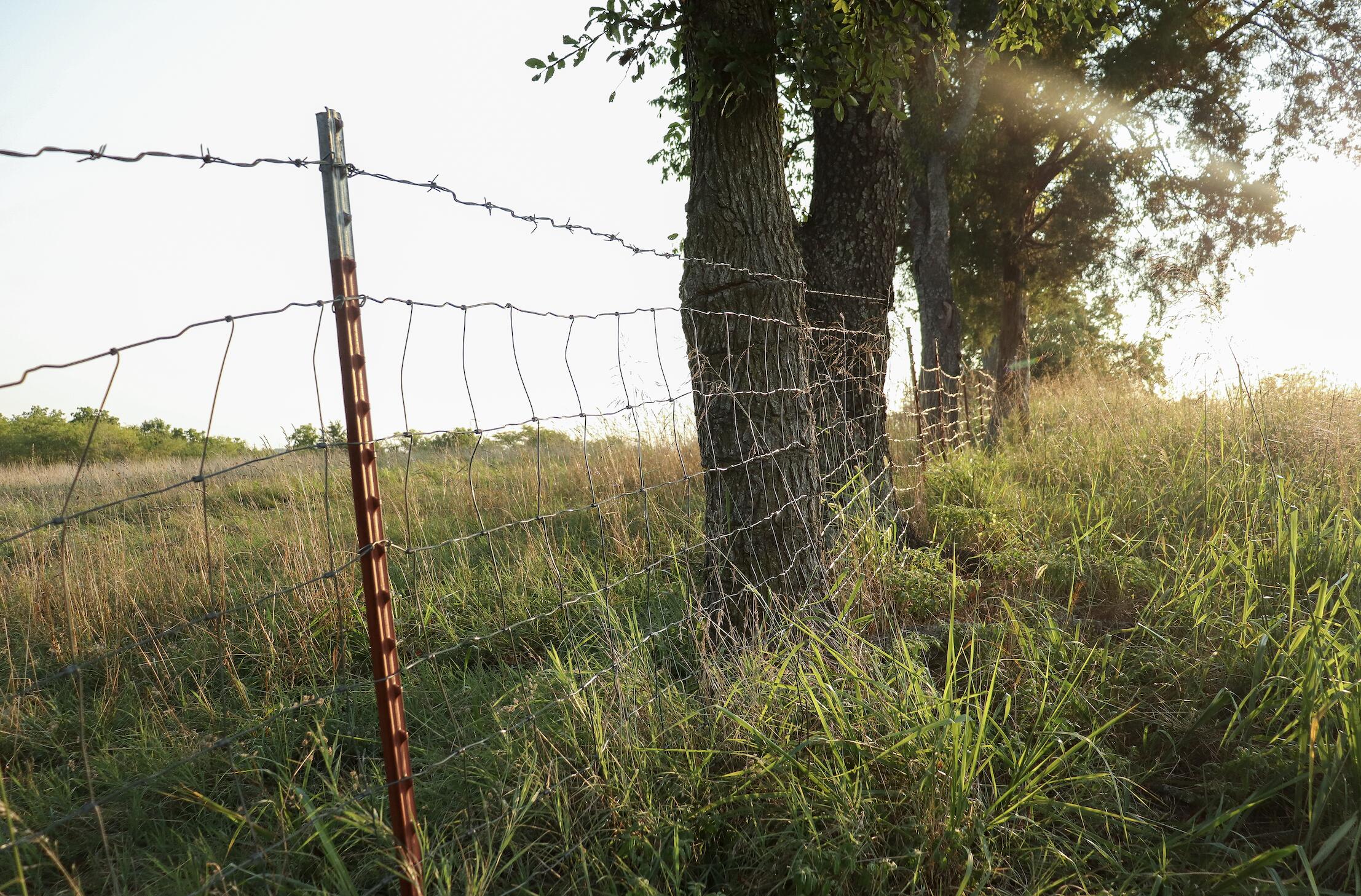 Photo 48 - Land for sale – 000  Quiet Acres Road  Lampe, MO
