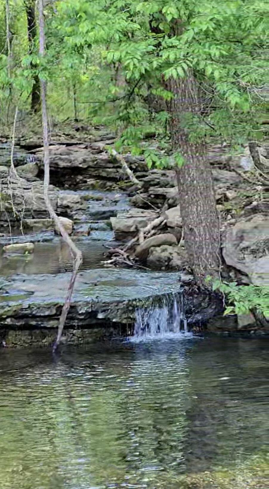 Photo 52 - Land for sale – 000  Quiet Acres Road  Lampe, MO