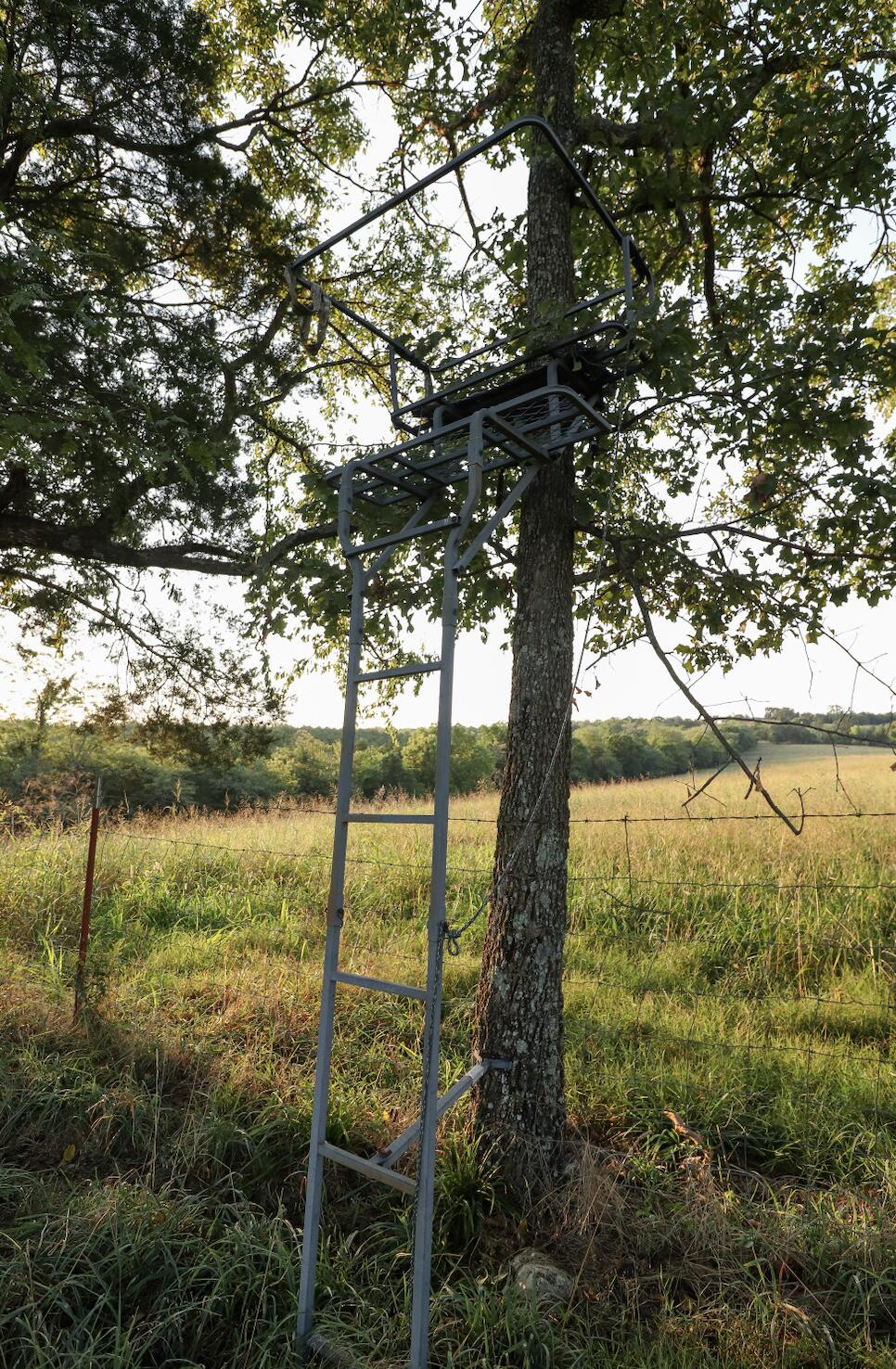 Photo 36 - Land for sale – 000  Quiet Acres Road  Lampe, MO