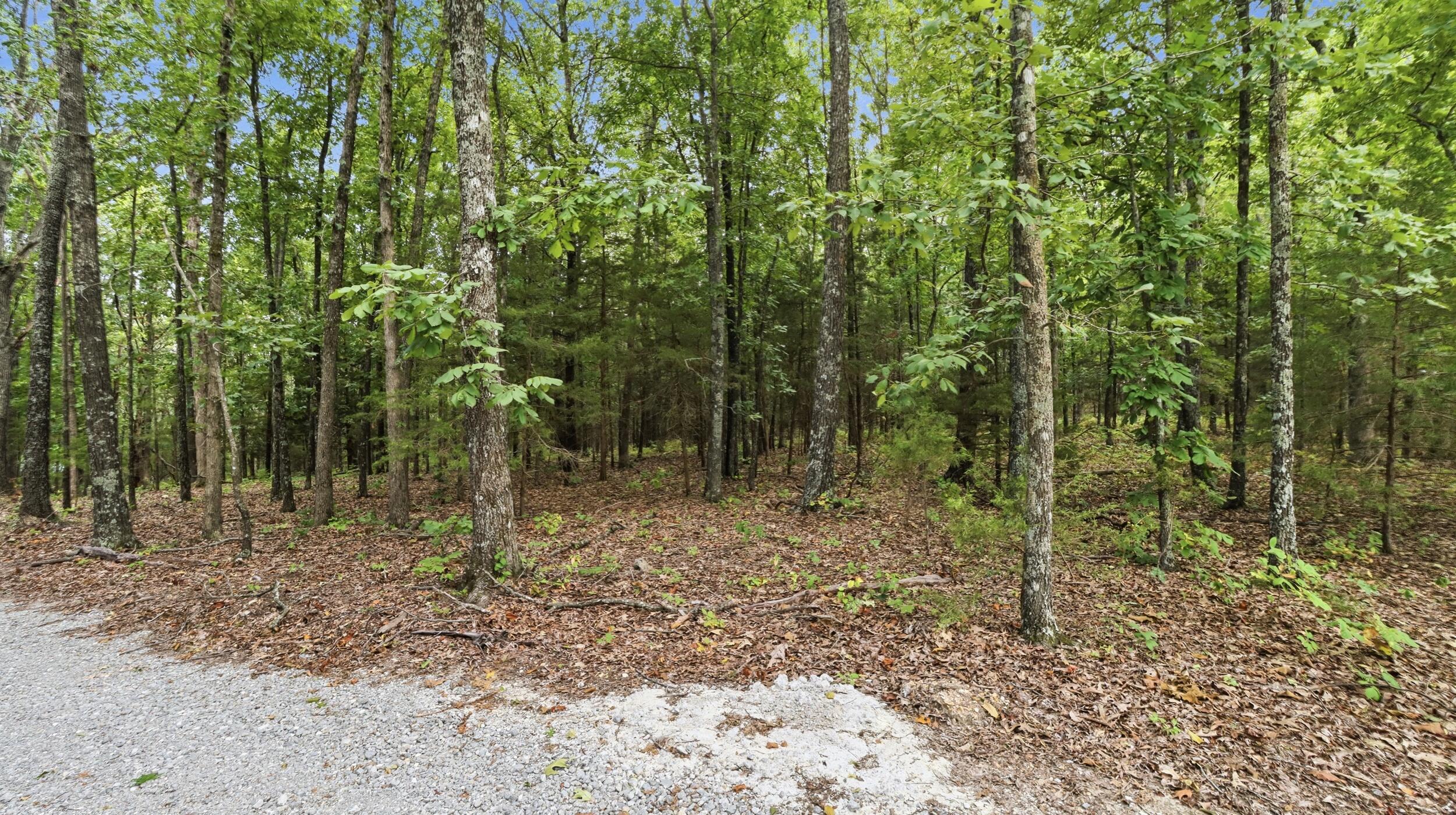 Photo 38 - Residential for sale – 16428  State Highway H   Elk Creek, MO