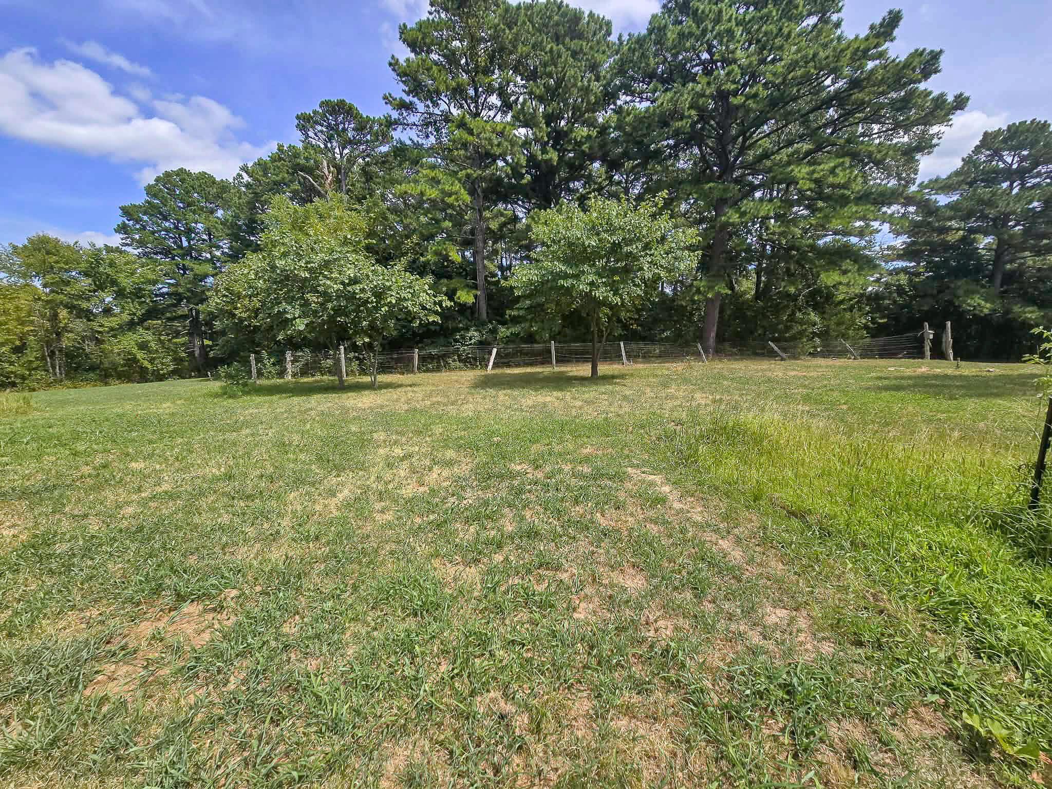 Photo 10 - Residential for sale – 4601  Highway Pp   Cabool, MO