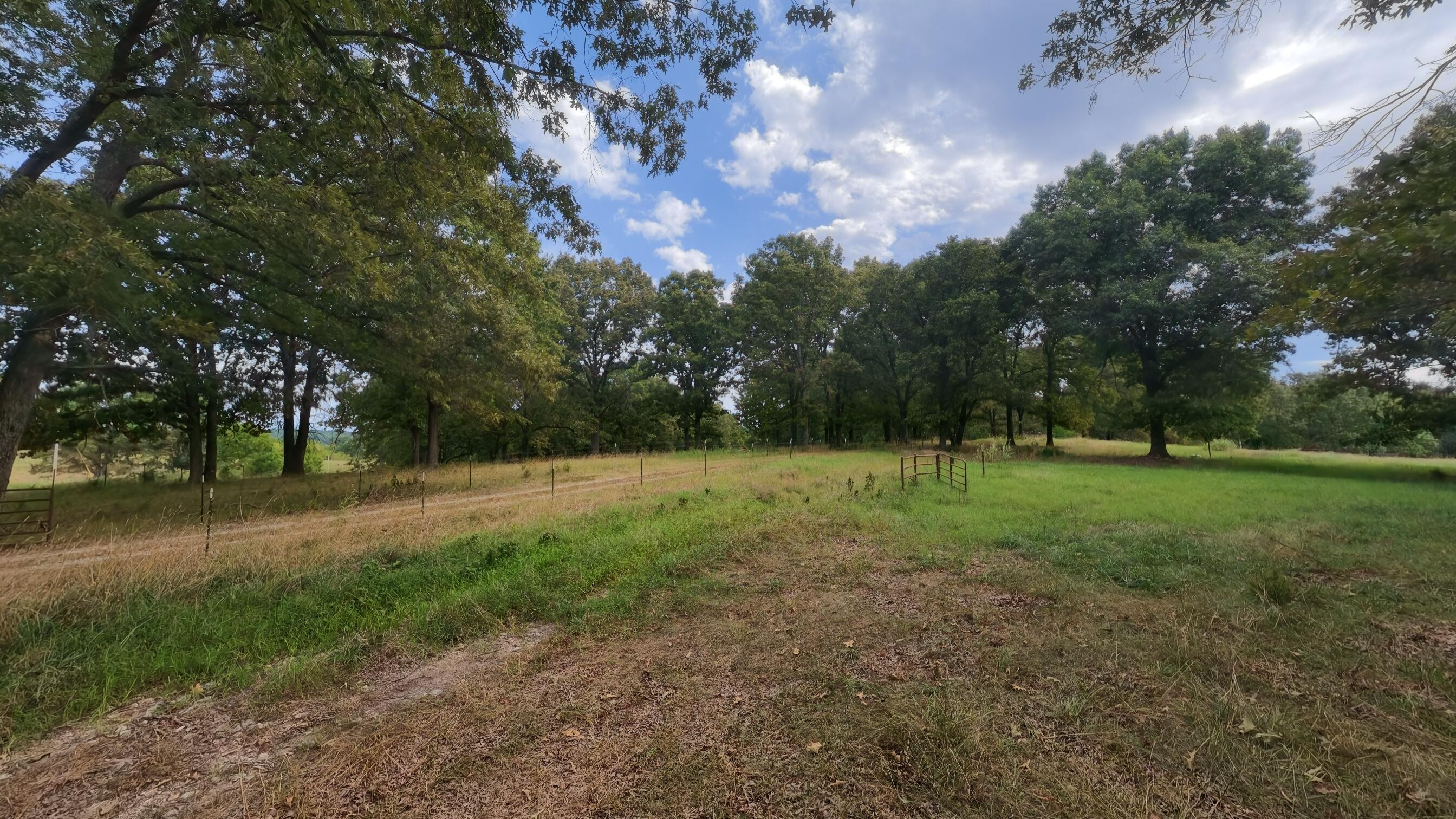 Photo 92 - Residential for sale – 84  County Road 385   Koshkonong, MO