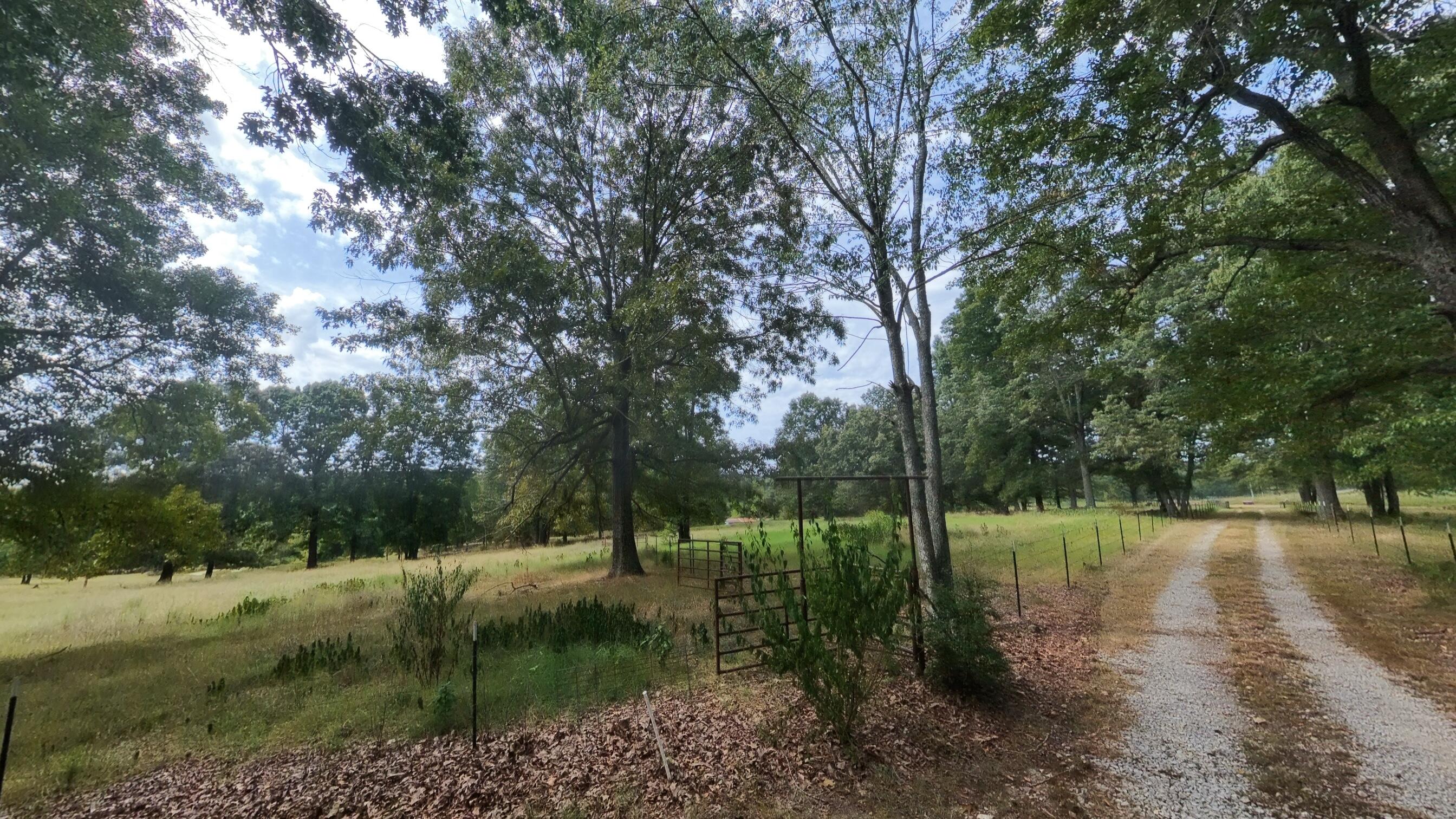 Photo 90 - Residential for sale – 84  County Road 385   Koshkonong, MO