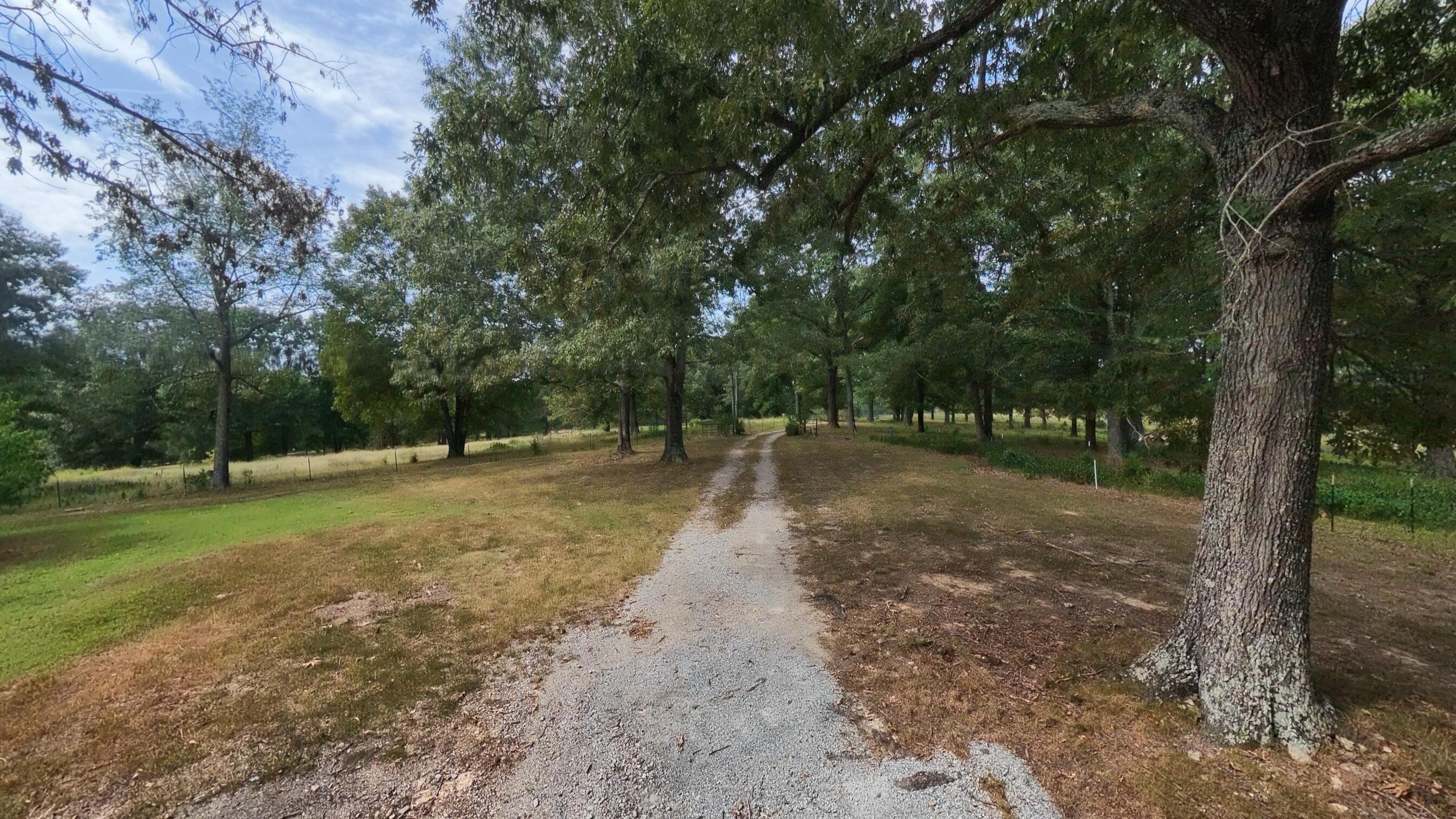 Photo 86 - Residential for sale – 84  County Road 385   Koshkonong, MO