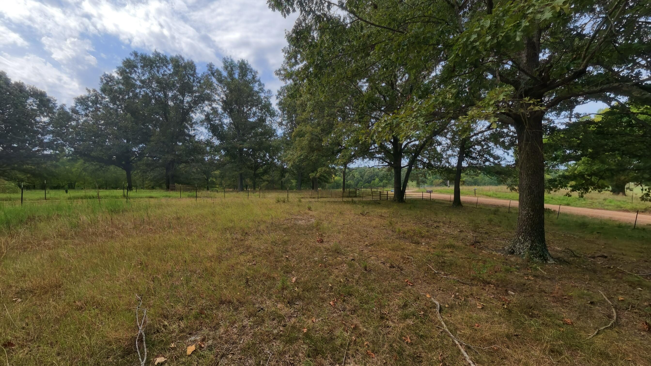 Photo 94 - Residential for sale – 84  County Road 385   Koshkonong, MO