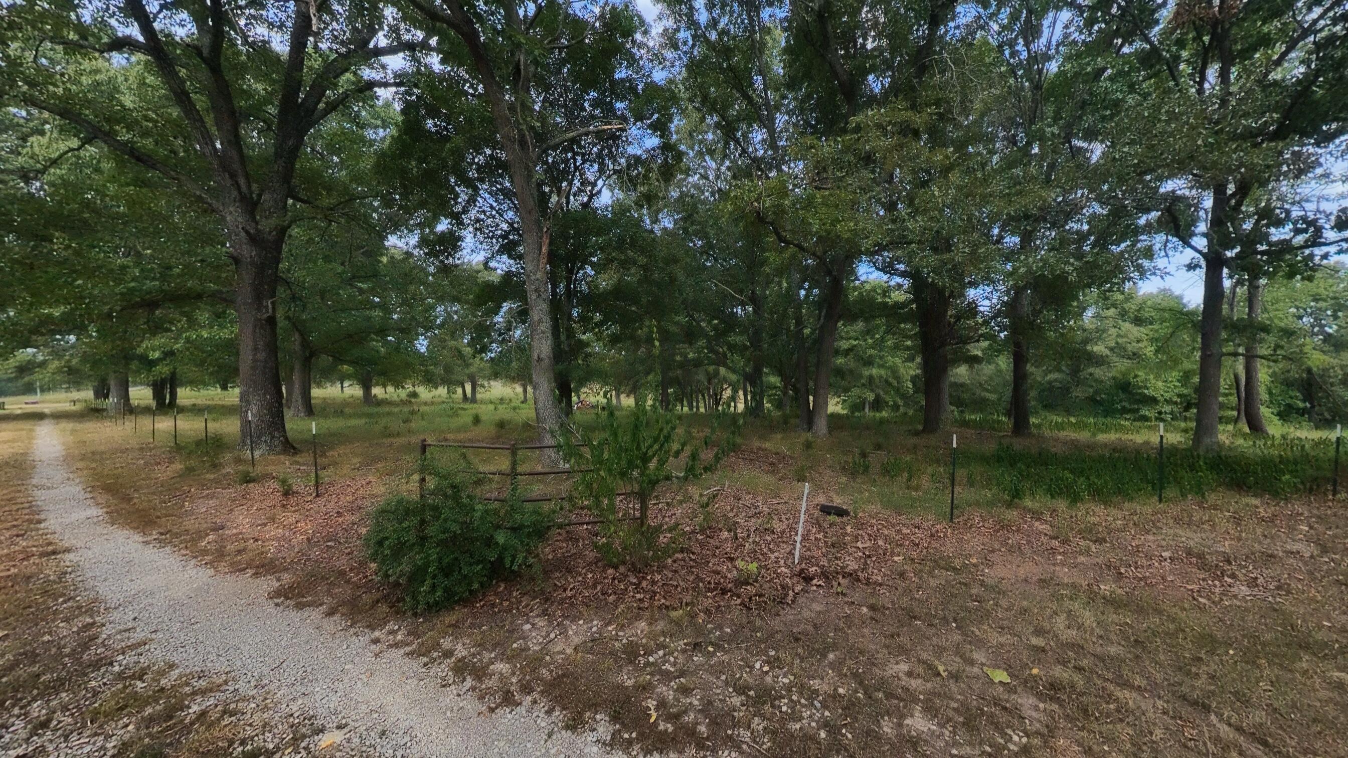 Photo 89 - Residential for sale – 84  County Road 385   Koshkonong, MO