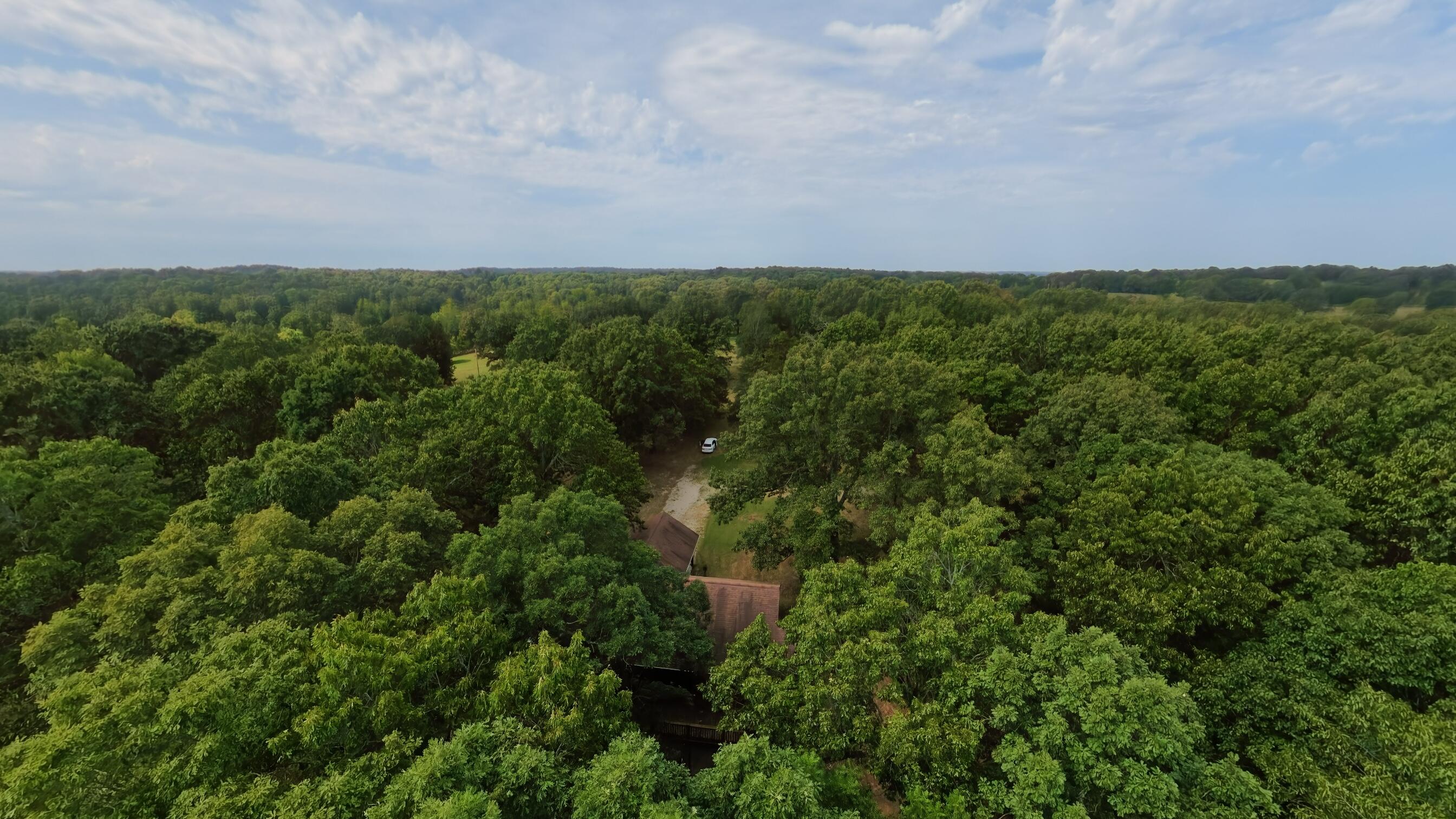 Photo 79 - Residential for sale – 84  County Road 385   Koshkonong, MO
