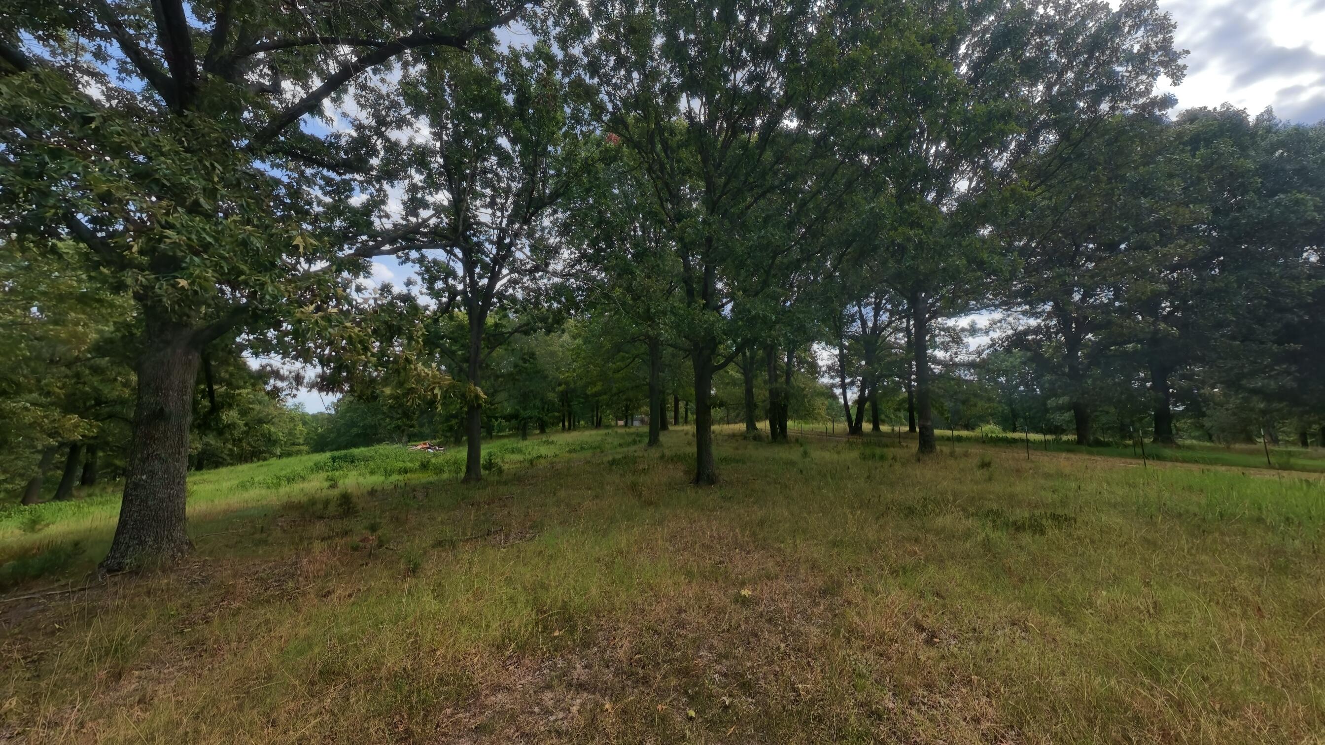 Photo 95 - Residential for sale – 84  County Road 385   Koshkonong, MO